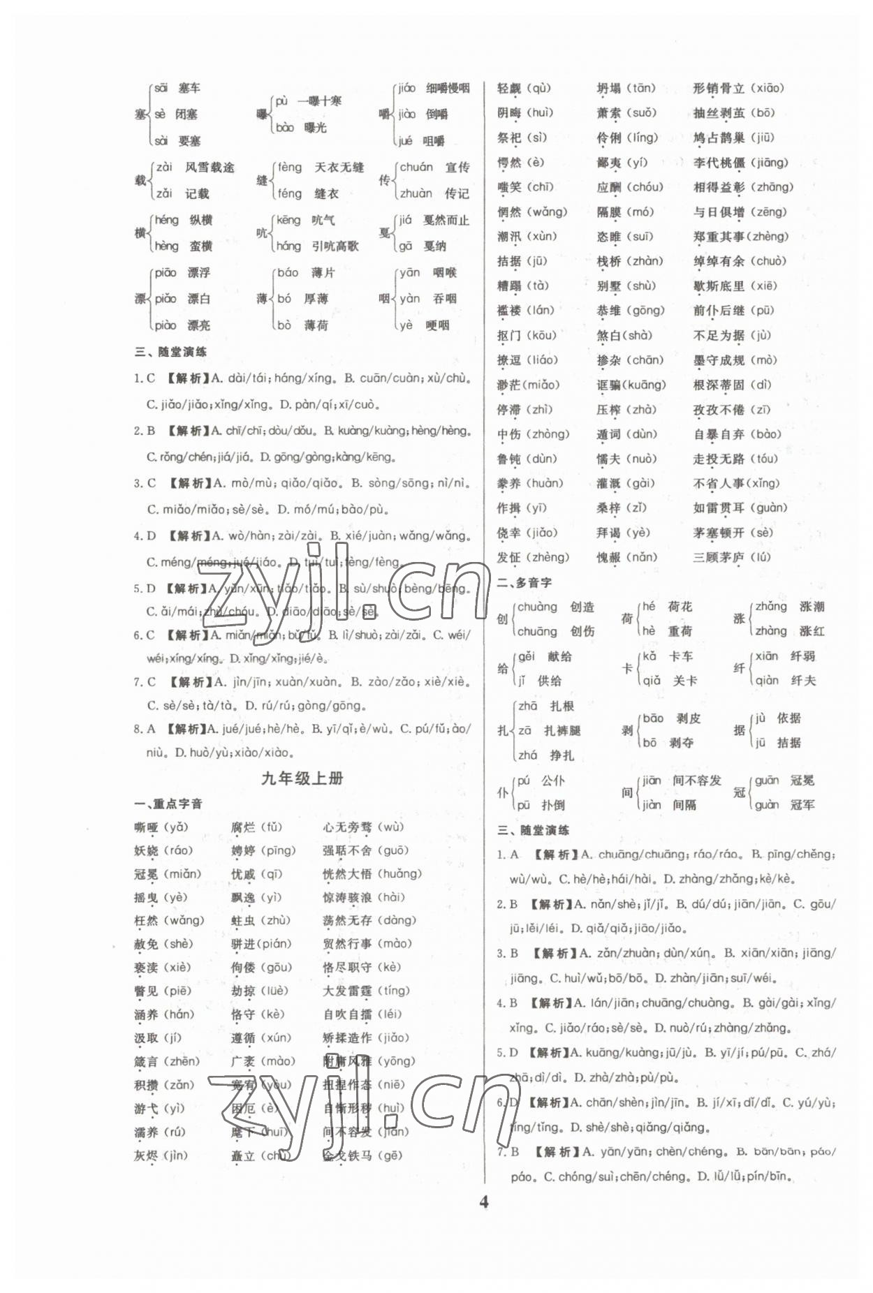 2023年一本到位语文中考广州专版 第4页