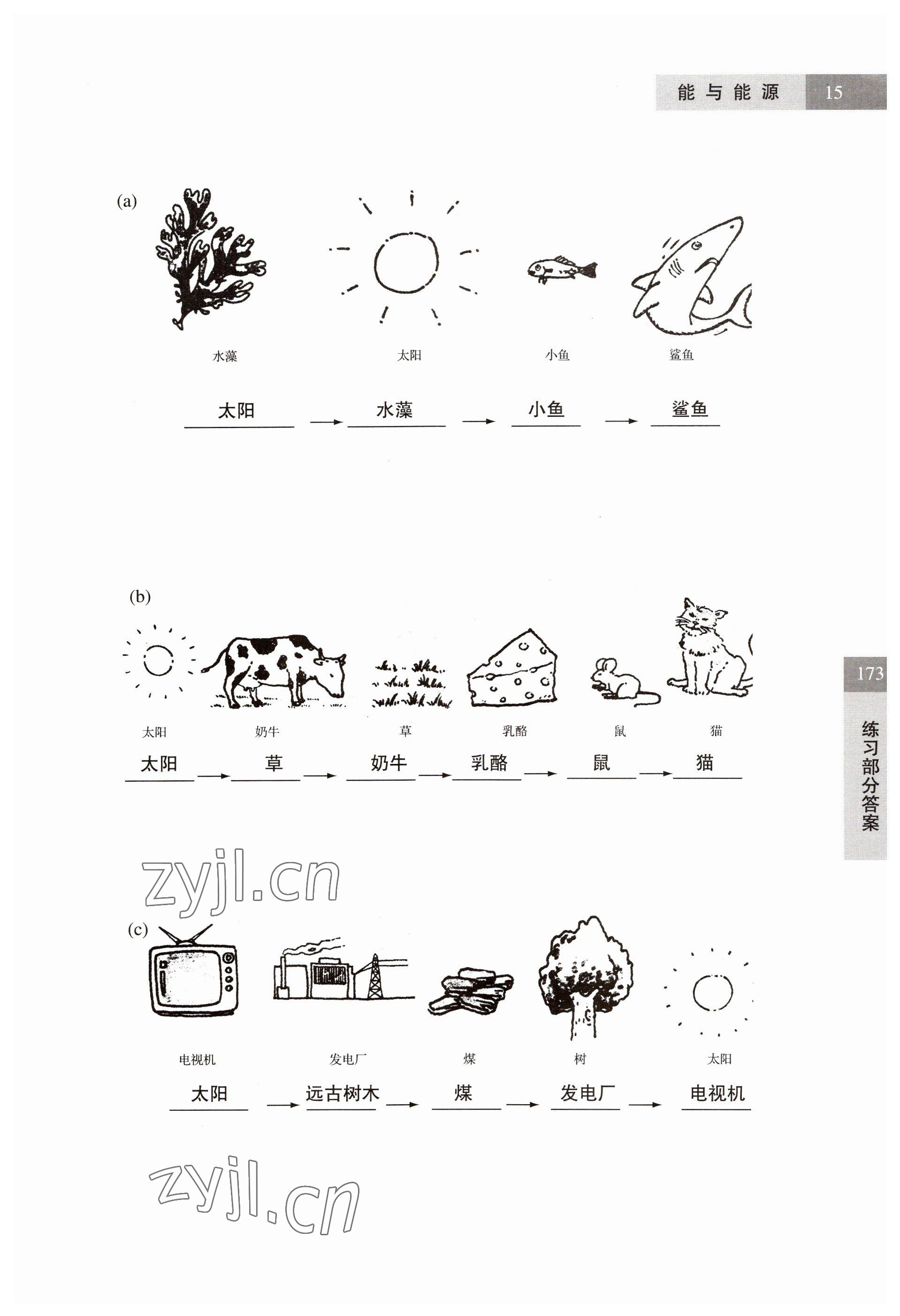 2023年练习部分六年级科学第二学期沪教版54制 参考答案第15页