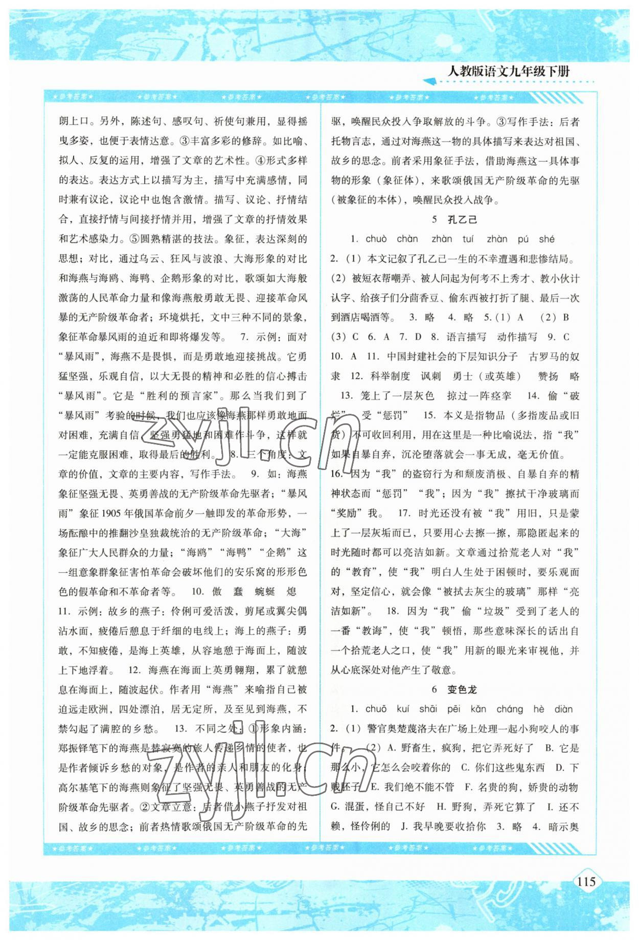 2023年同步實踐評價課程基礎訓練九年級語文下冊人教版 第3頁