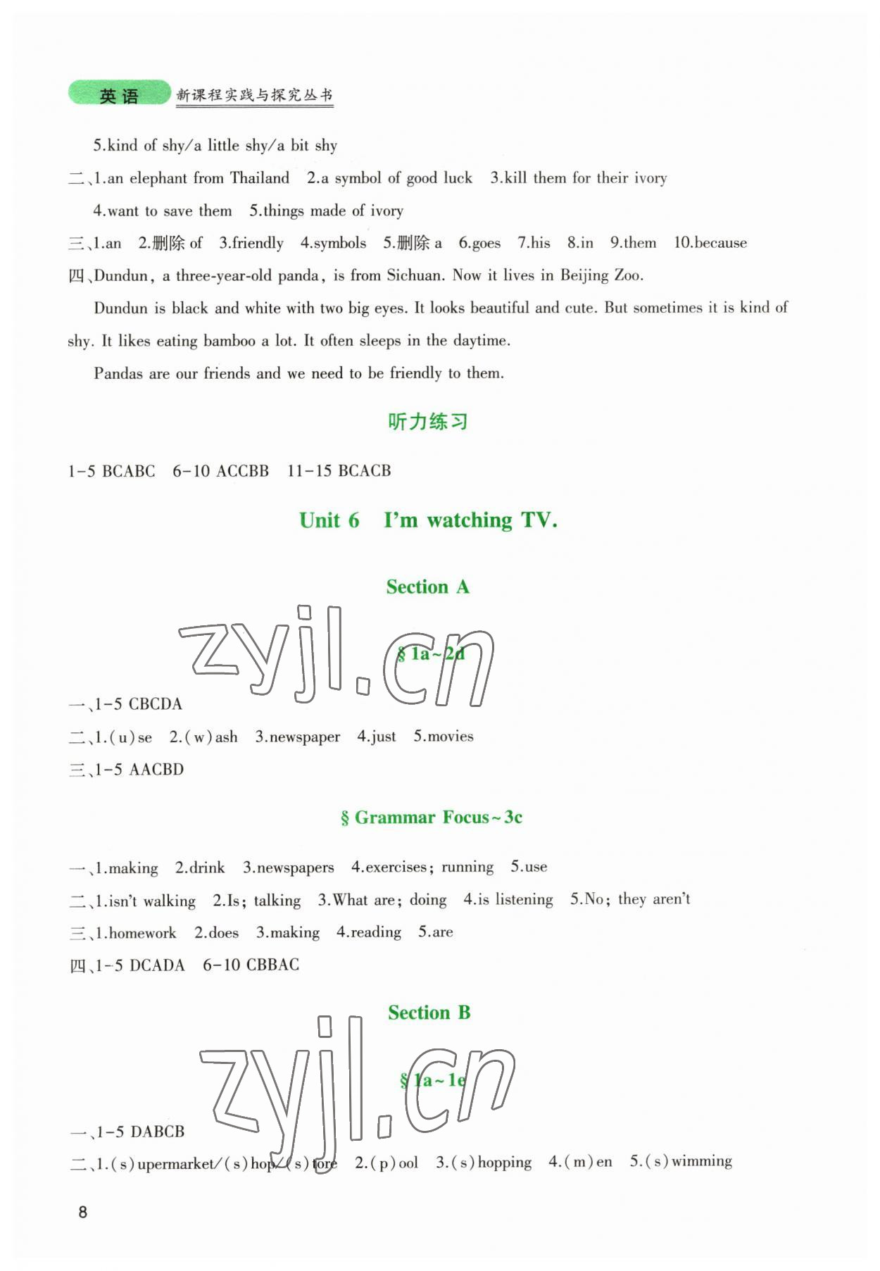 2023年新課程實(shí)踐與探究叢書七年級(jí)英語下冊(cè)人教版 第8頁