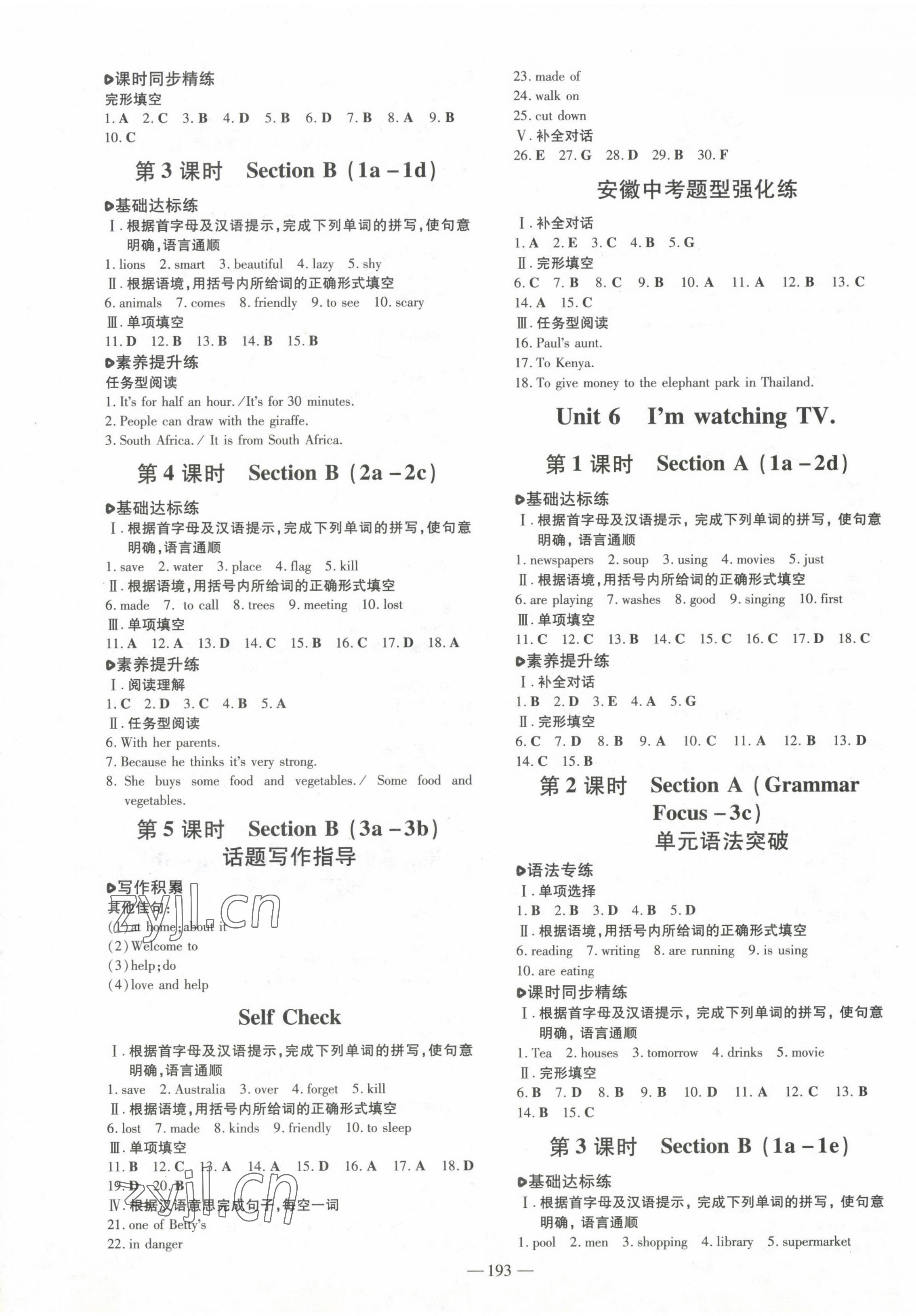 2023年練案七年級(jí)英語下冊(cè)人教版安徽專版 第5頁