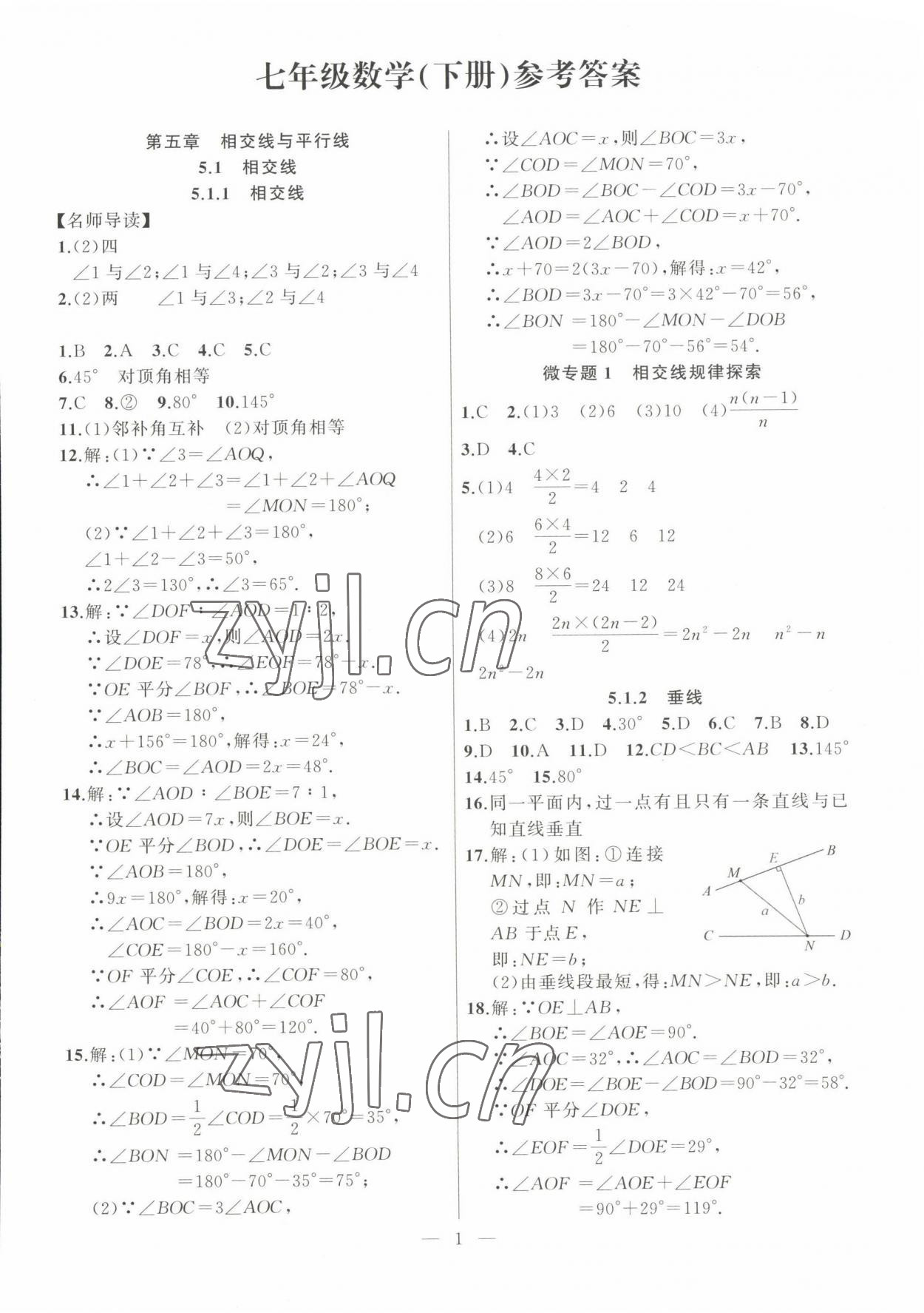 2023年高手點題七年級數(shù)學(xué)下冊人教版 參考答案第1頁