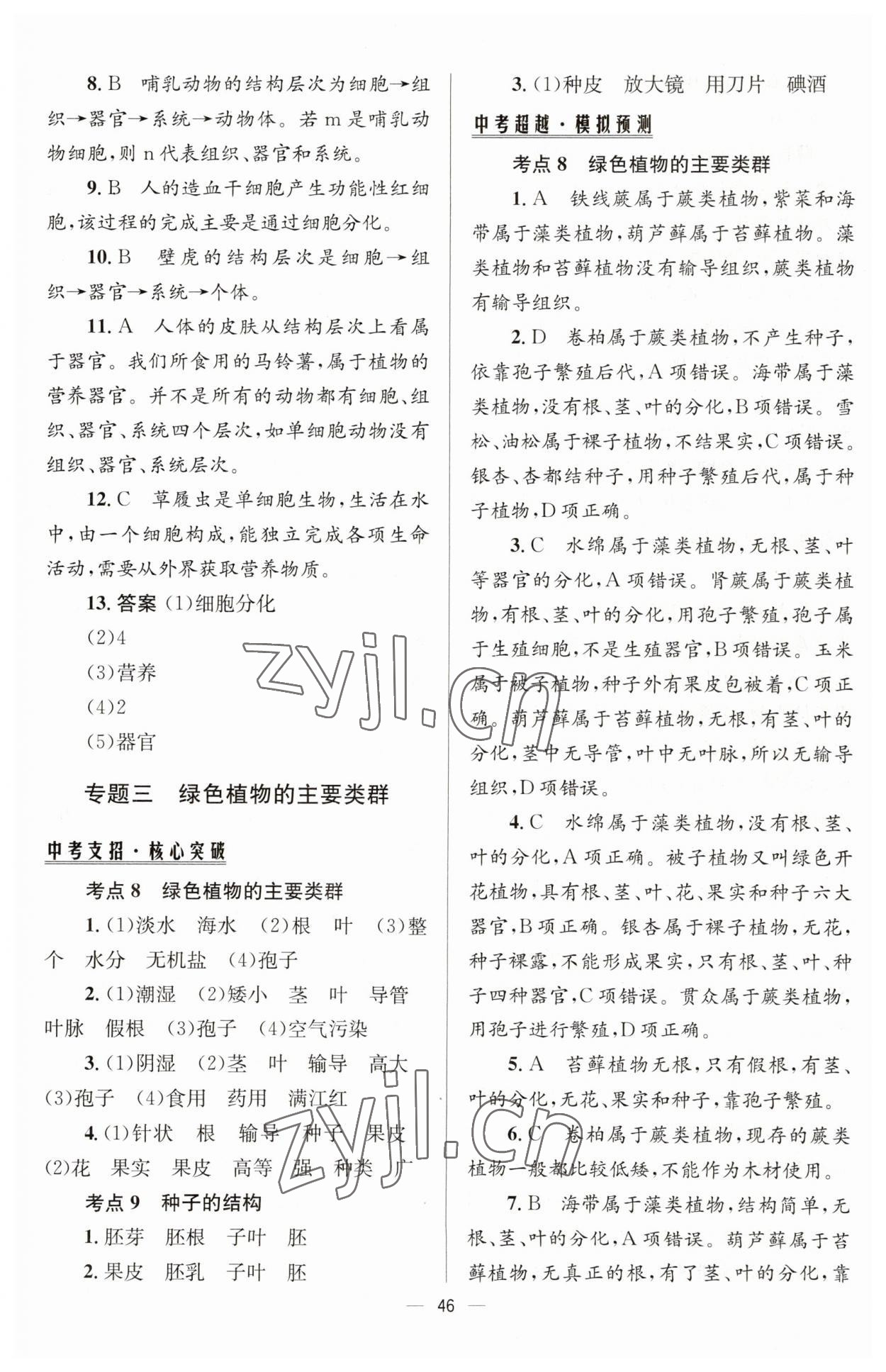 2023年初中畢業(yè)升學(xué)總復(fù)習(xí)生物 第6頁