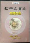 2023年初中文言文全能達(dá)標(biāo)九年級語文下冊人教版