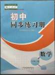 2023年初中同步練習(xí)冊(cè)九年級(jí)數(shù)學(xué)下冊(cè)人教版山東教育出版社