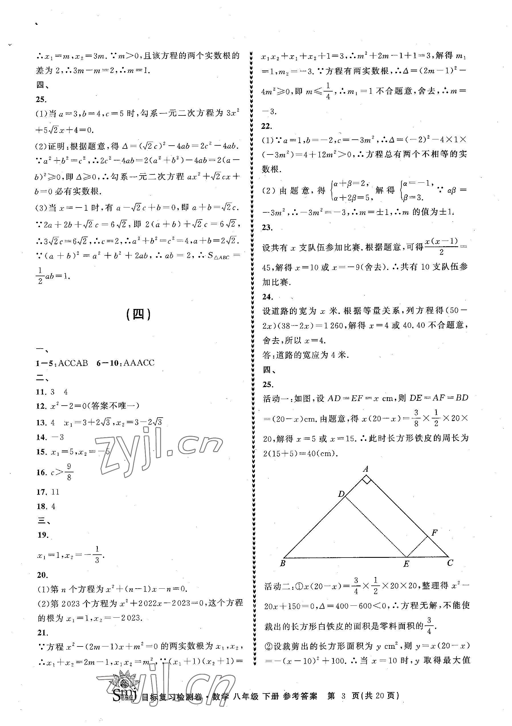 2023年目标复习检测卷八年级数学下册浙教版 参考答案第3页