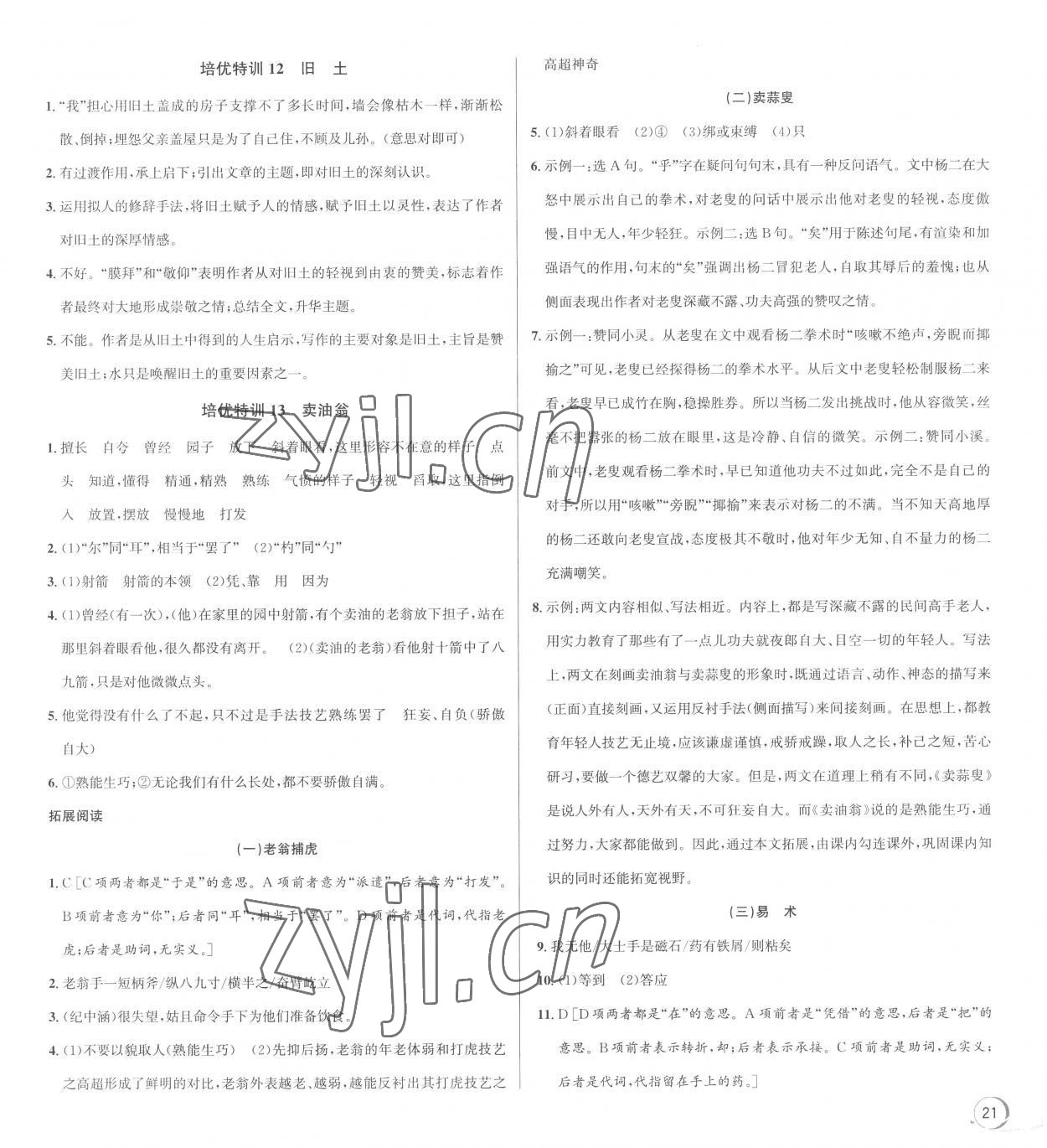 2023年優(yōu)加攻略七年級語文下冊人教版 參考答案第5頁