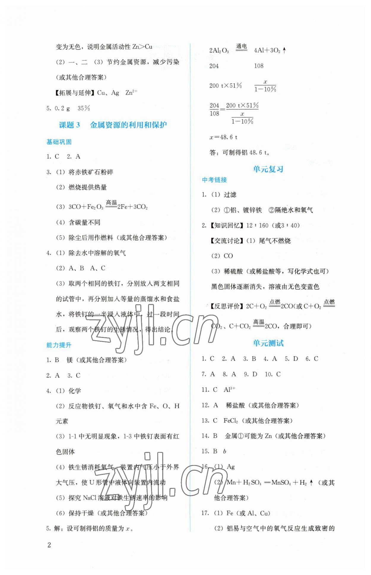 2023年人教金学典同步解析与测评九年级化学下册人教版 第2页