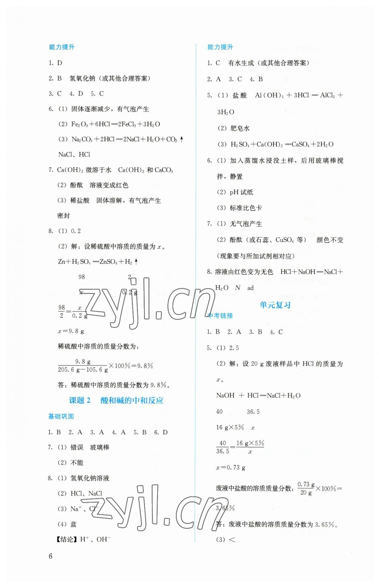 2023年人教金学典同步解析与测评九年级化学下册人教版 第6页