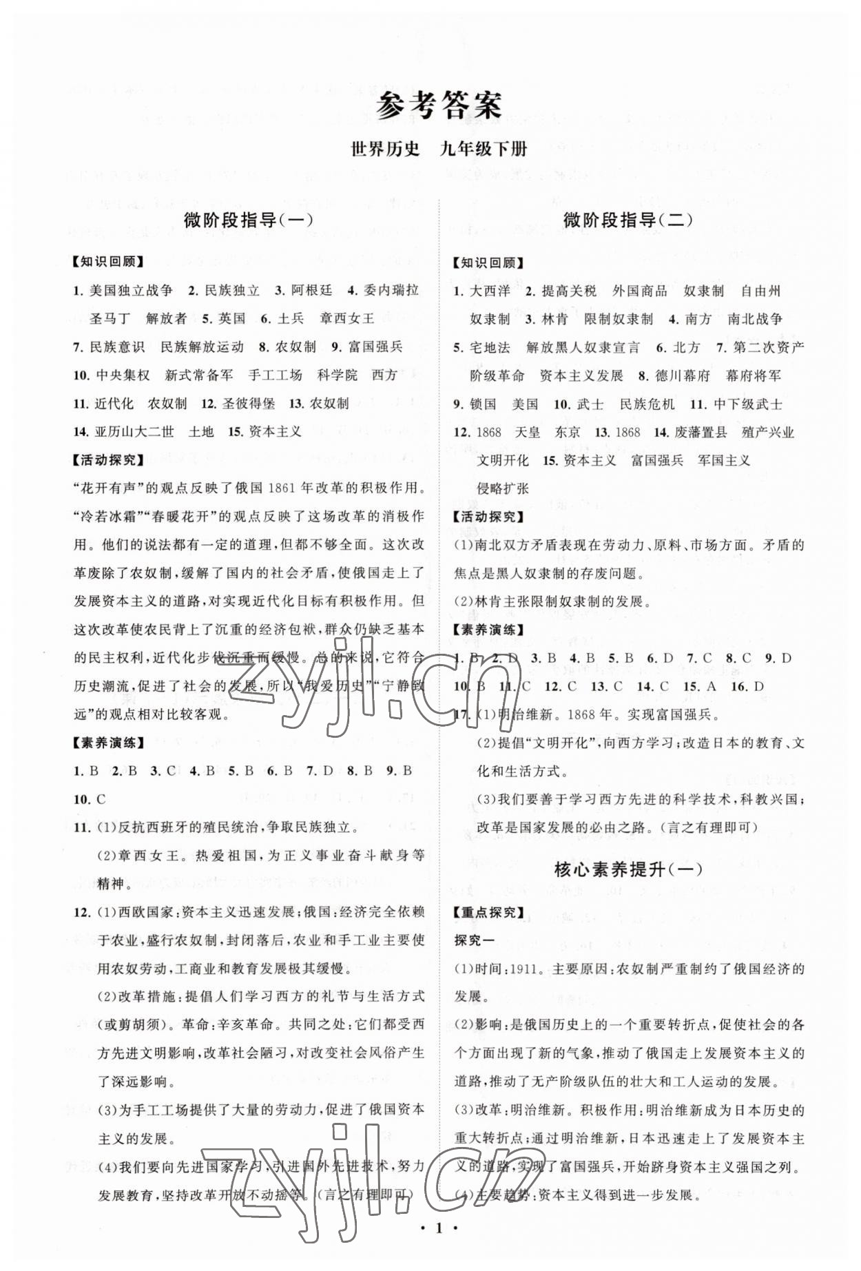 2023年同步練習(xí)冊分層卷九年級(jí)世界歷史下冊人教版 第1頁