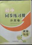 2023年同步練習(xí)冊分層卷九年級世界歷史下冊人教版