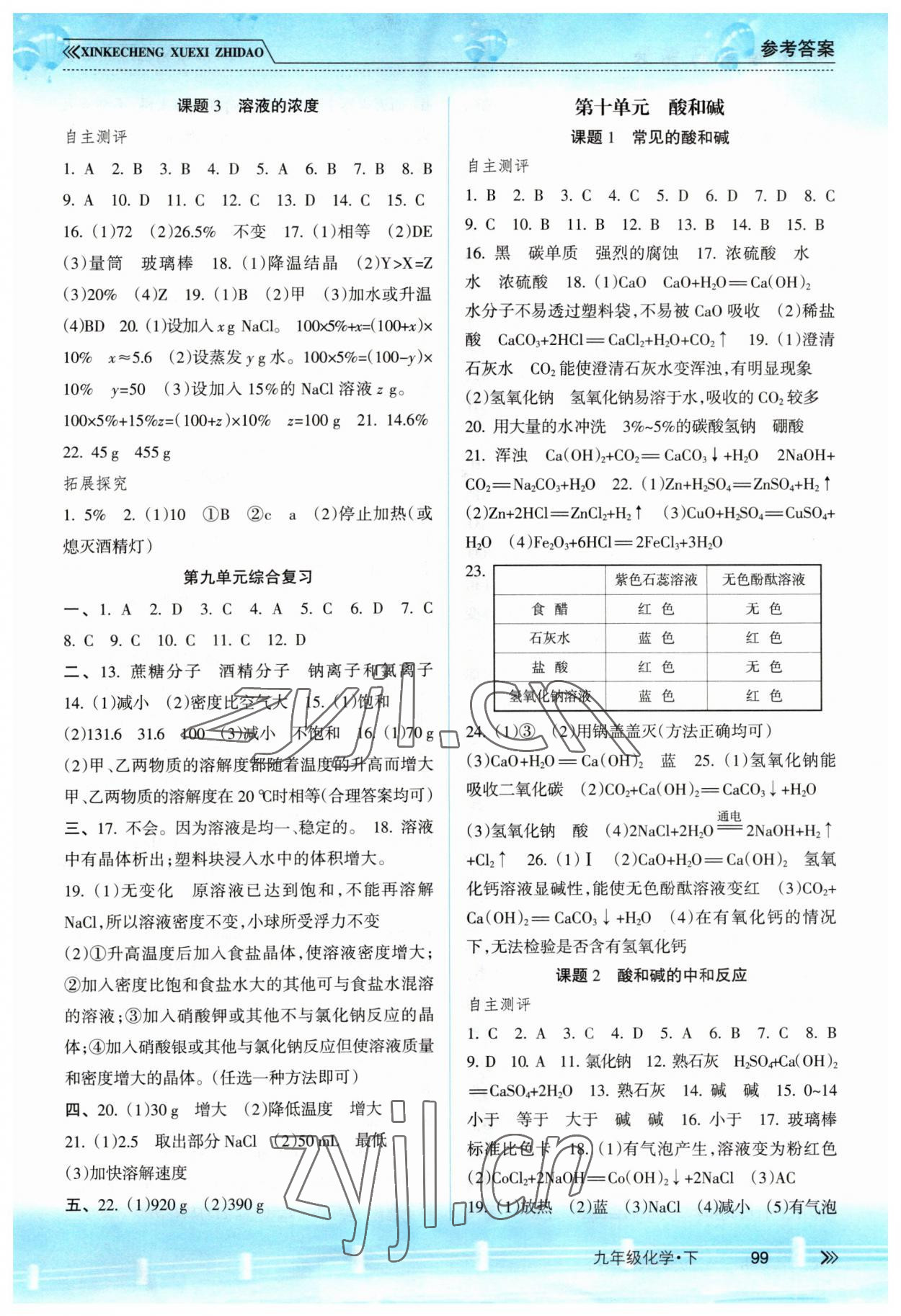 2023年新課程學(xué)習(xí)指導(dǎo)南方出版社九年級化學(xué)下冊人教版 第3頁