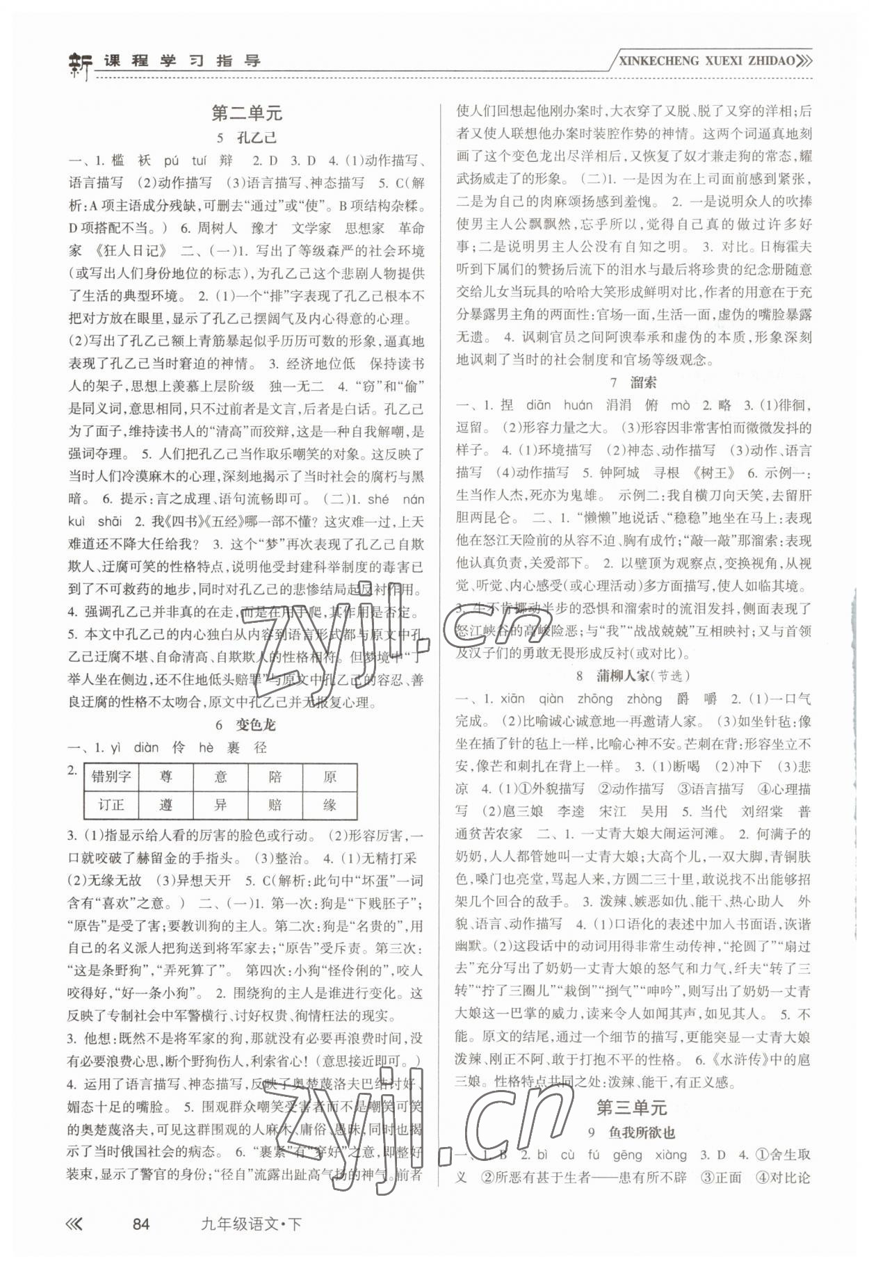 2023年新課程學習指導南方出版社九年級語文下冊人教版 第2頁