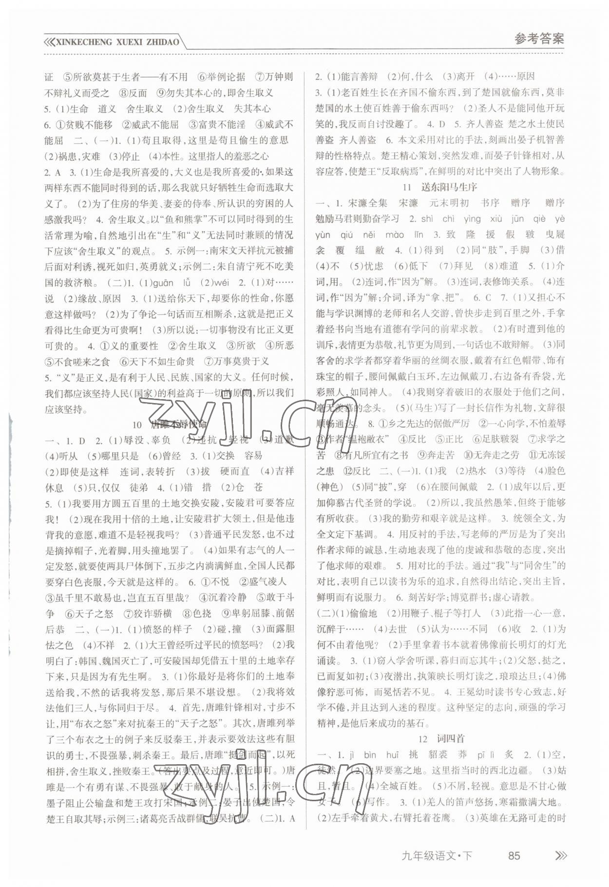 2023年新課程學(xué)習(xí)指導(dǎo)南方出版社九年級(jí)語(yǔ)文下冊(cè)人教版 第3頁(yè)