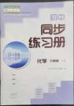 2023年同步練習(xí)冊(cè)大象出版社九年級(jí)化學(xué)下冊(cè)人教版