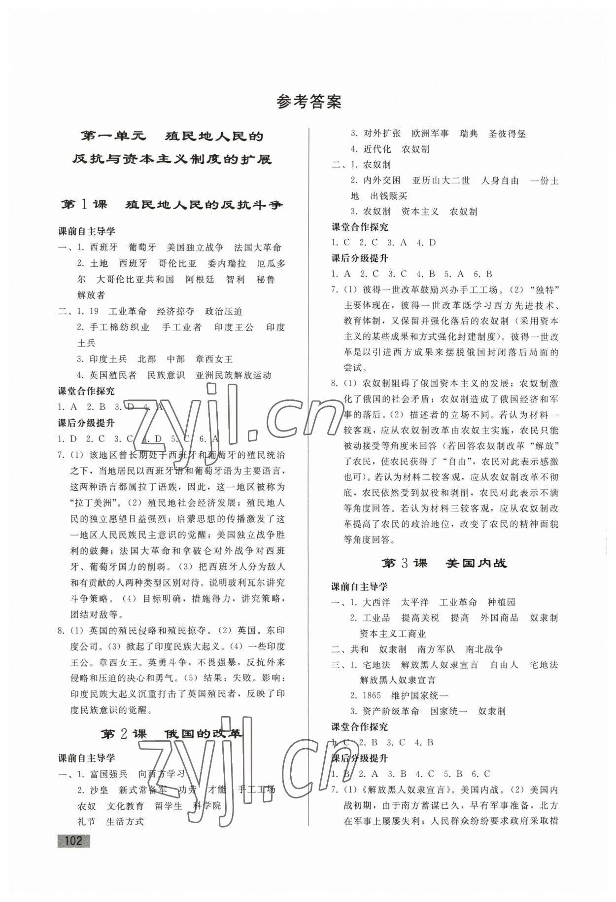 2023年同步練習(xí)冊人民教育出版社九年級歷史下冊人教版山東專版 參考答案第1頁