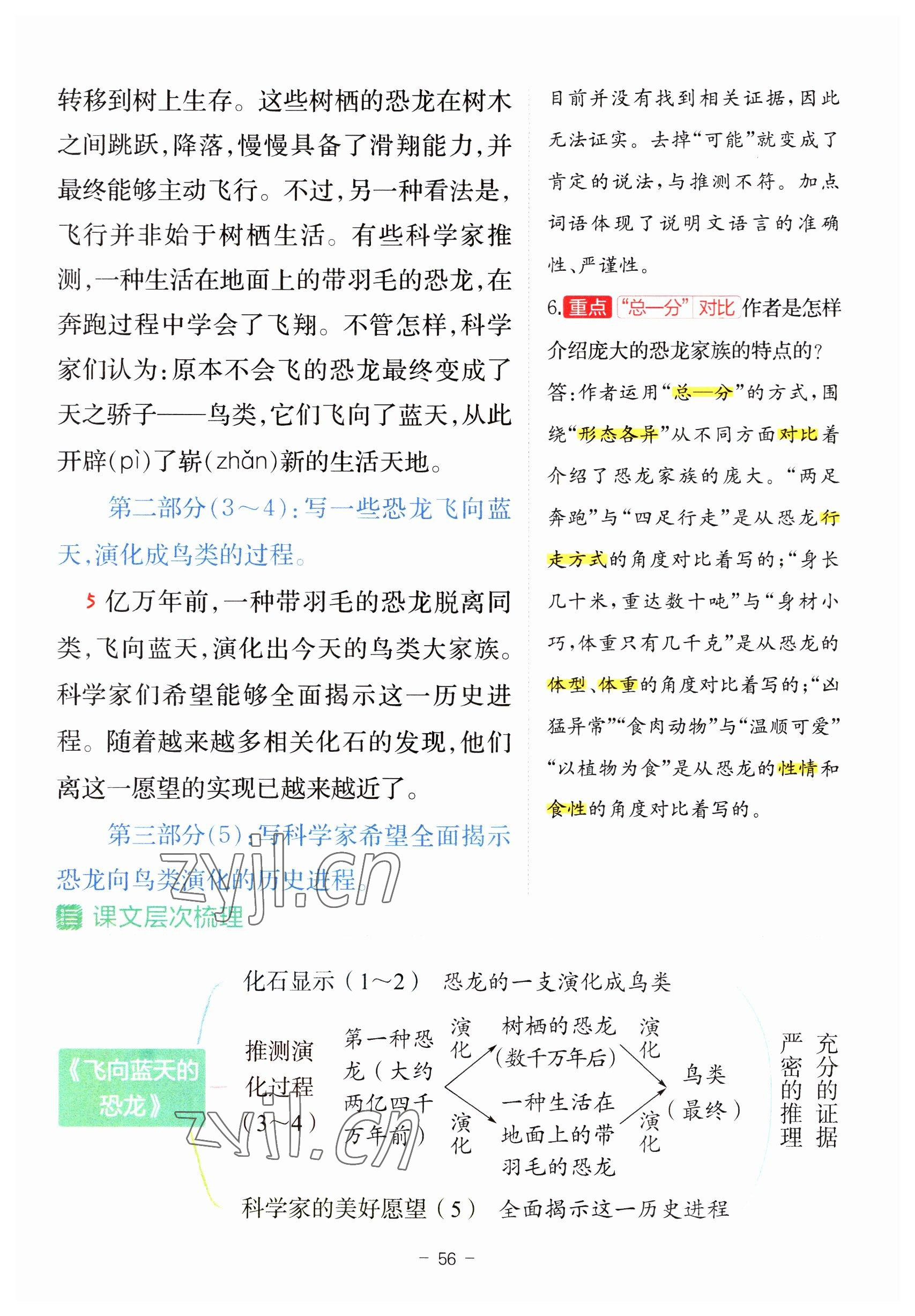 2023年教材课本四年级语文下册人教版 参考答案第56页