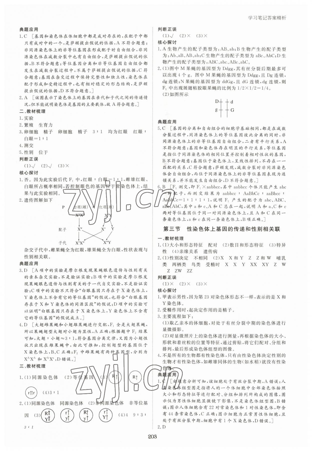 2023年步步高學(xué)習(xí)筆記高中生物必修2浙科版 參考答案第6頁