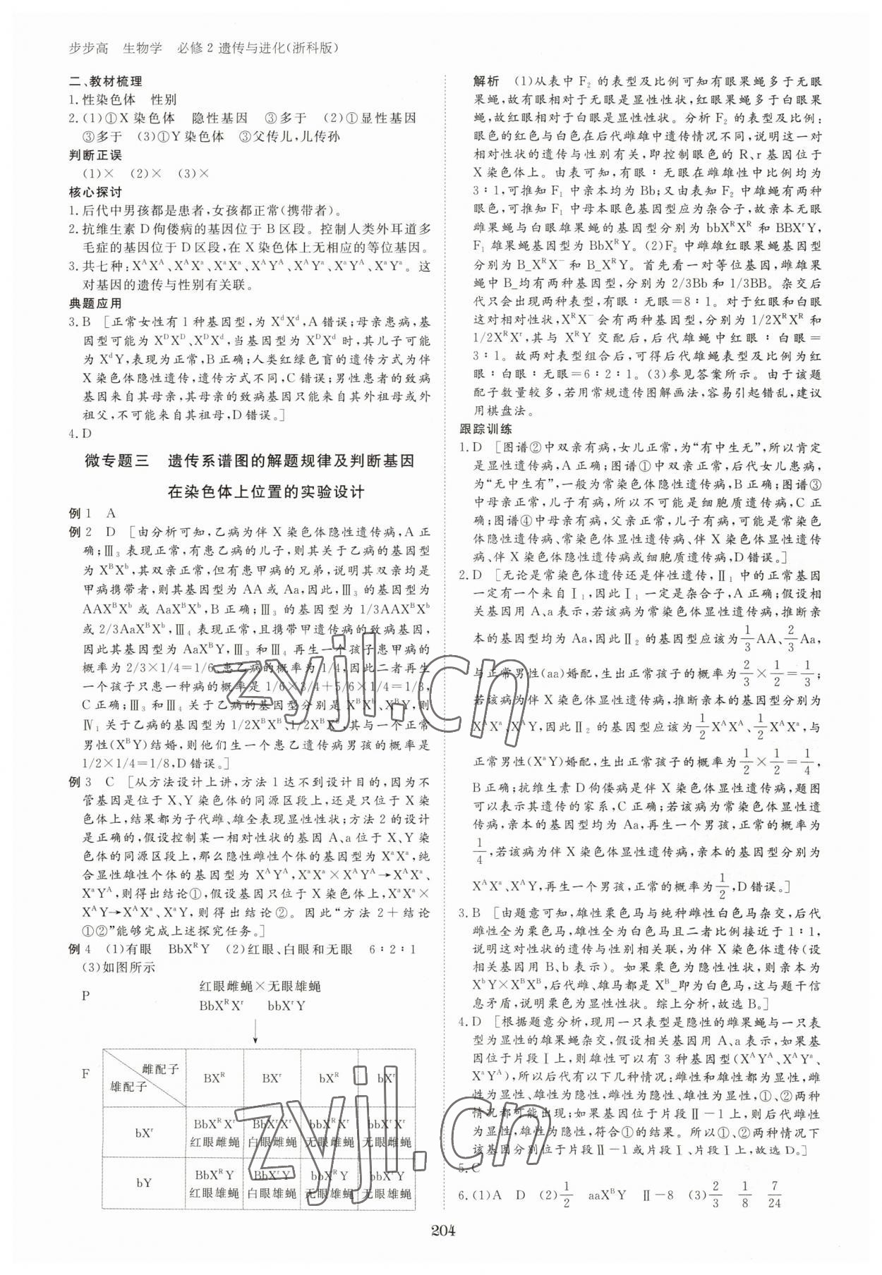 2023年步步高學(xué)習(xí)筆記高中生物必修2浙科版 參考答案第7頁