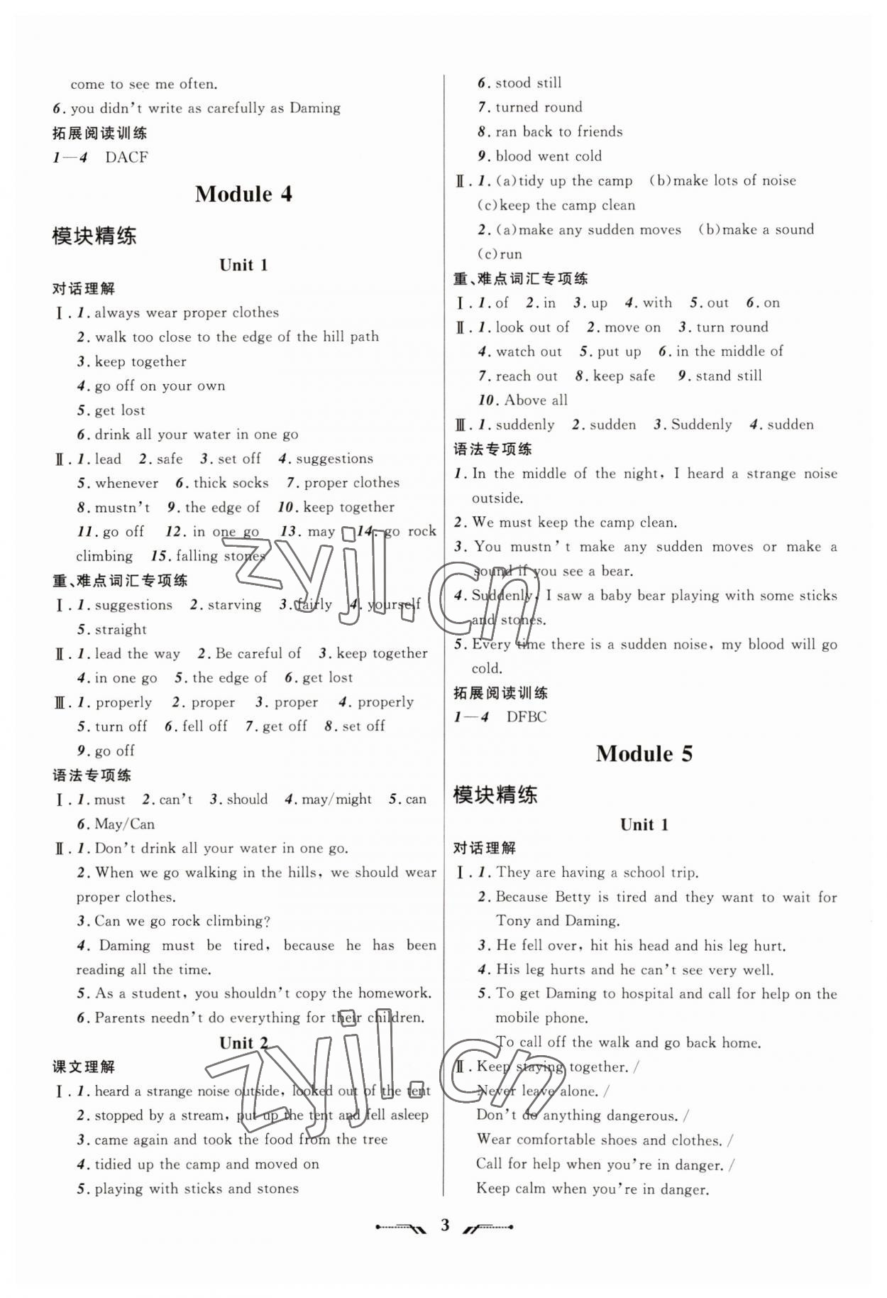 2023年新课程新教材导航学英语九年级下册外研版 第3页