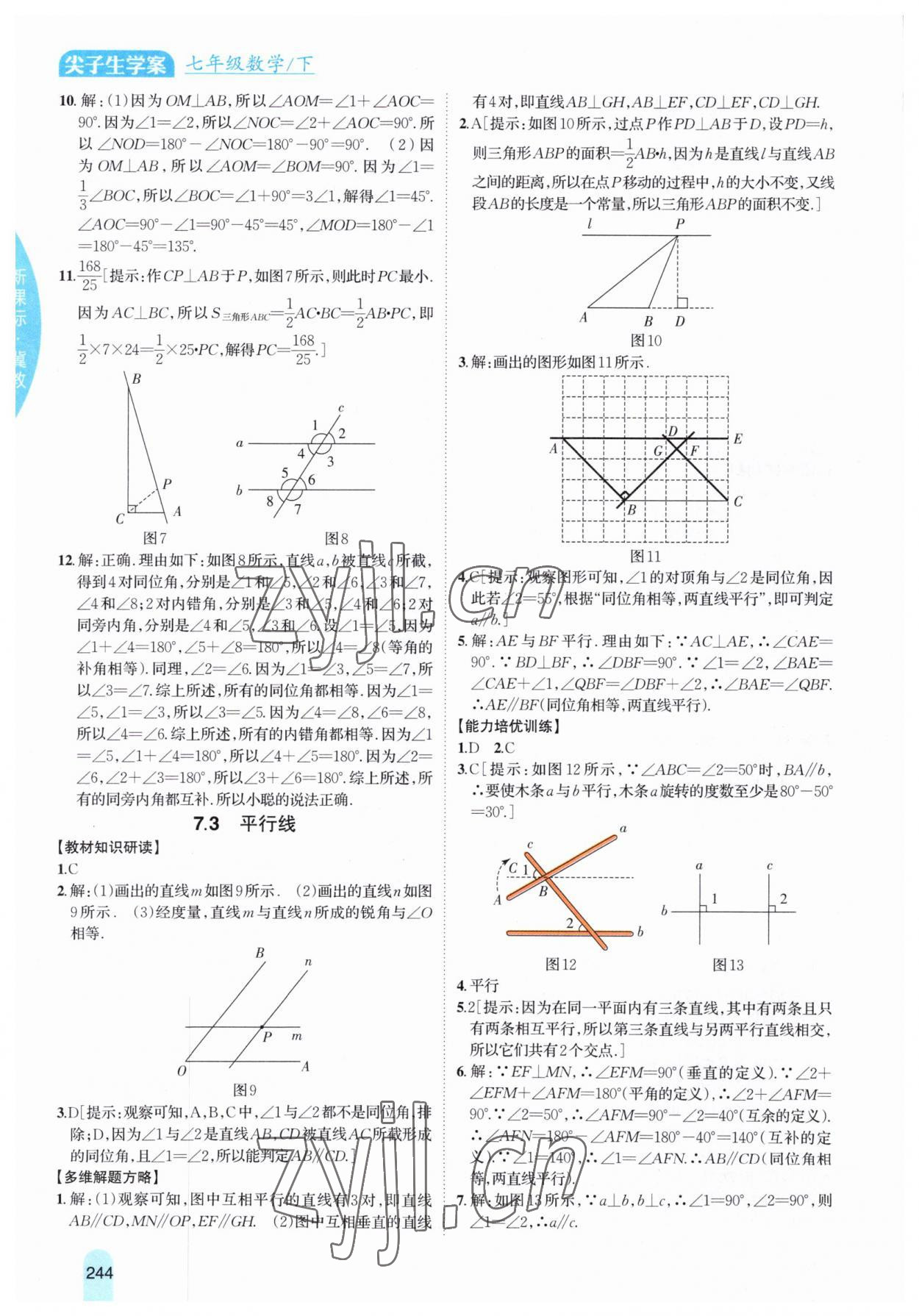 2023年尖子生学案七年级数学下册冀教版 参考答案第10页