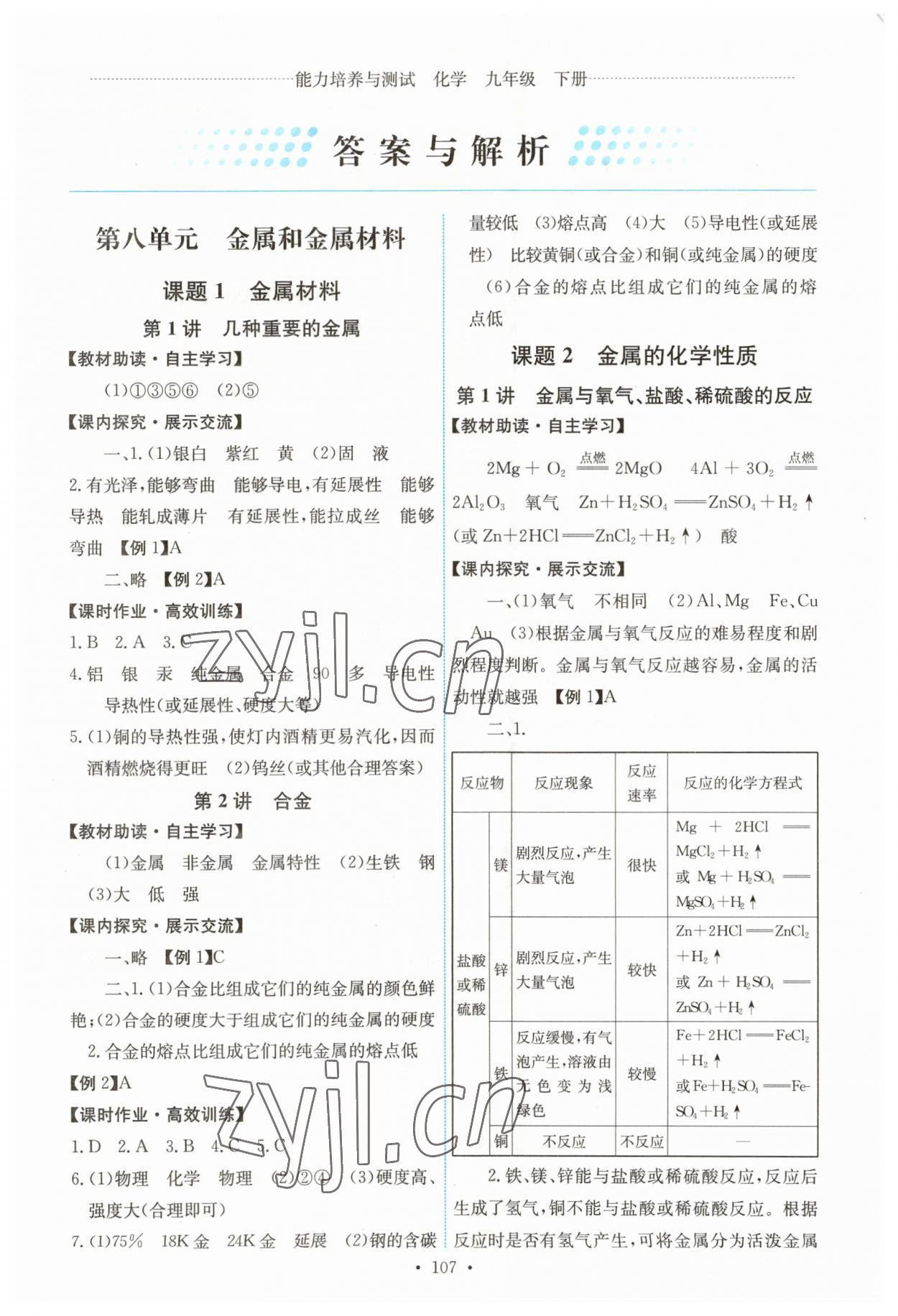 2023年能力培養(yǎng)與測試九年級化學(xué)下冊人教版湖南專版 第1頁