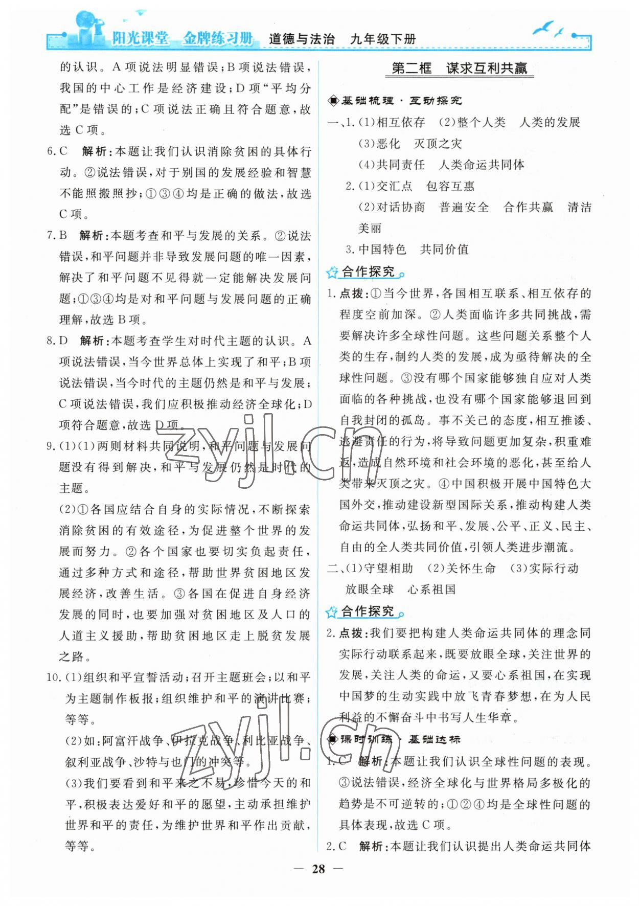 2023年陽光課堂金牌練習(xí)冊九年級道德與法治下冊人教版 第4頁