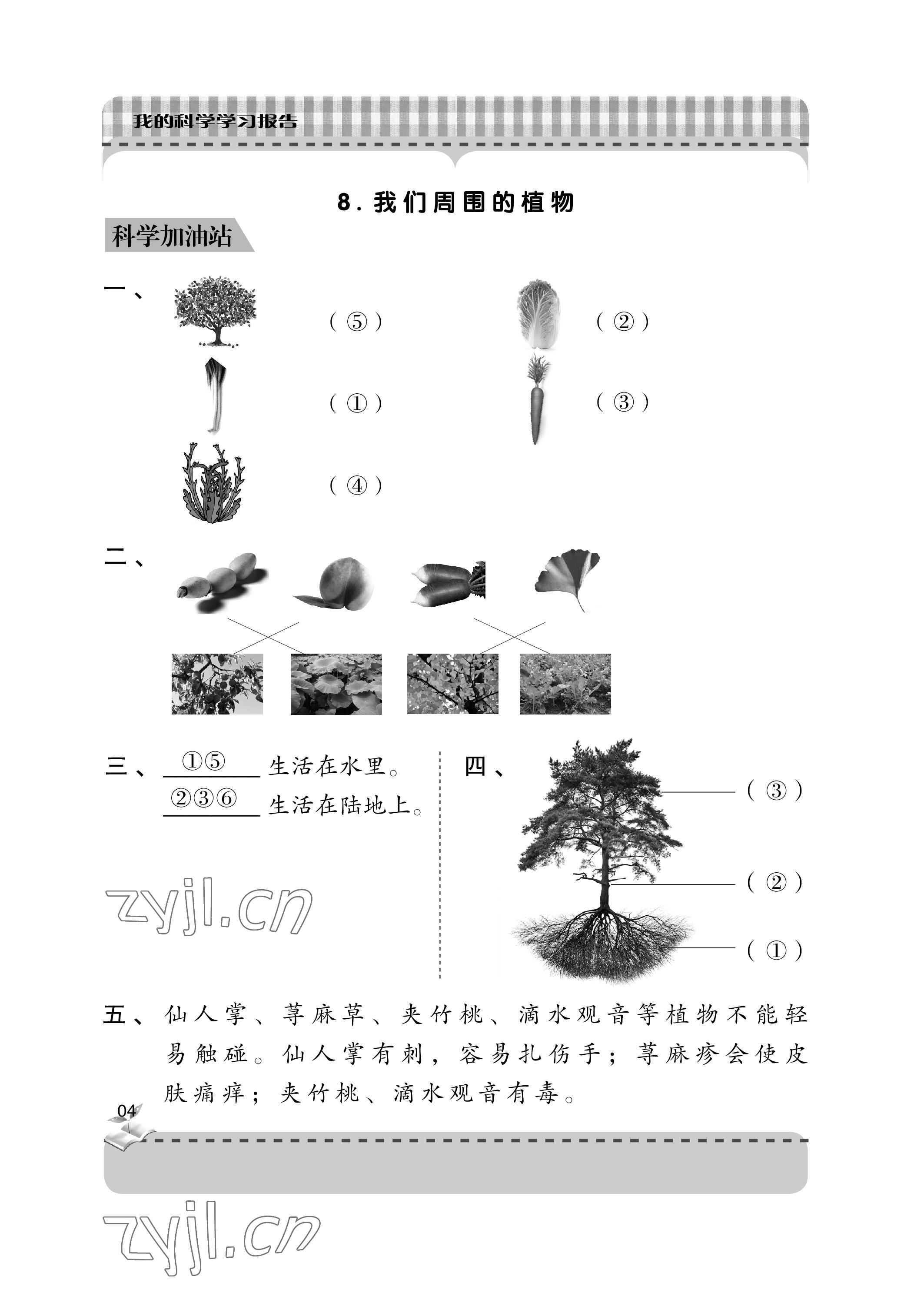 2023年新課堂學(xué)習(xí)與探究一年級(jí)科學(xué)下冊(cè)青島版 參考答案第4頁(yè)