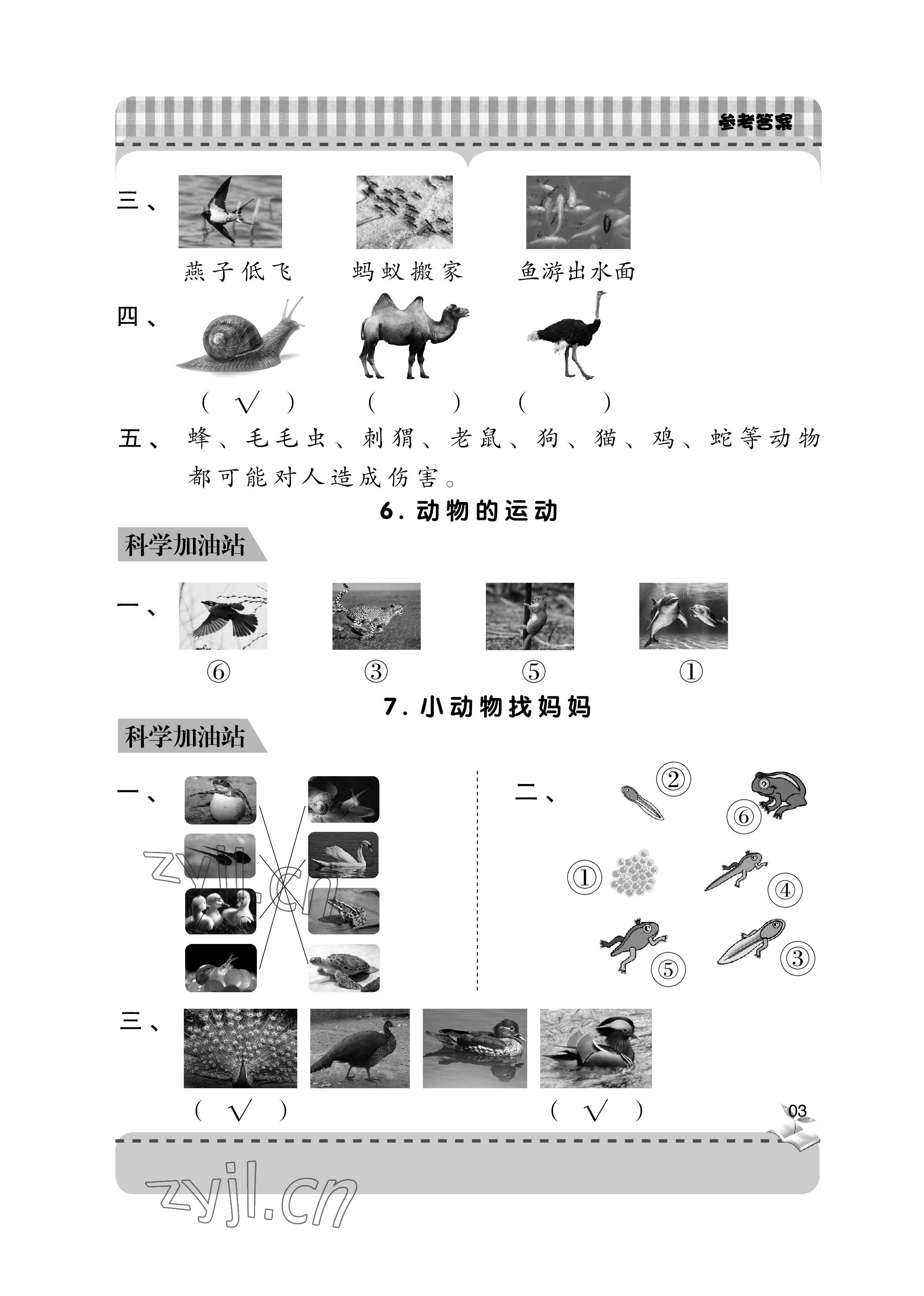 2023年新課堂學(xué)習(xí)與探究一年級(jí)科學(xué)下冊(cè)青島版 參考答案第3頁(yè)