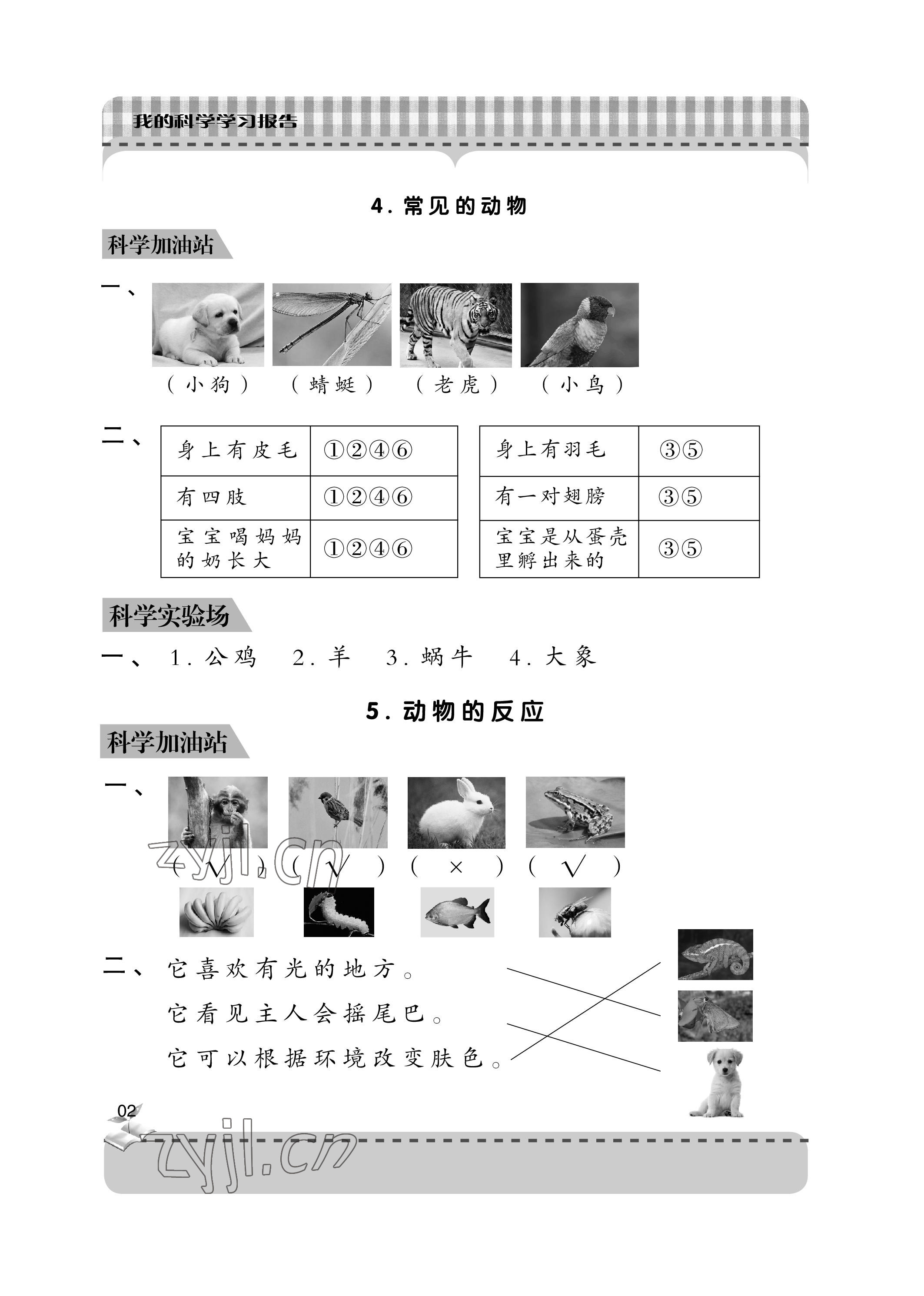 2023年新课堂学习与探究一年级科学下册青岛版 参考答案第2页