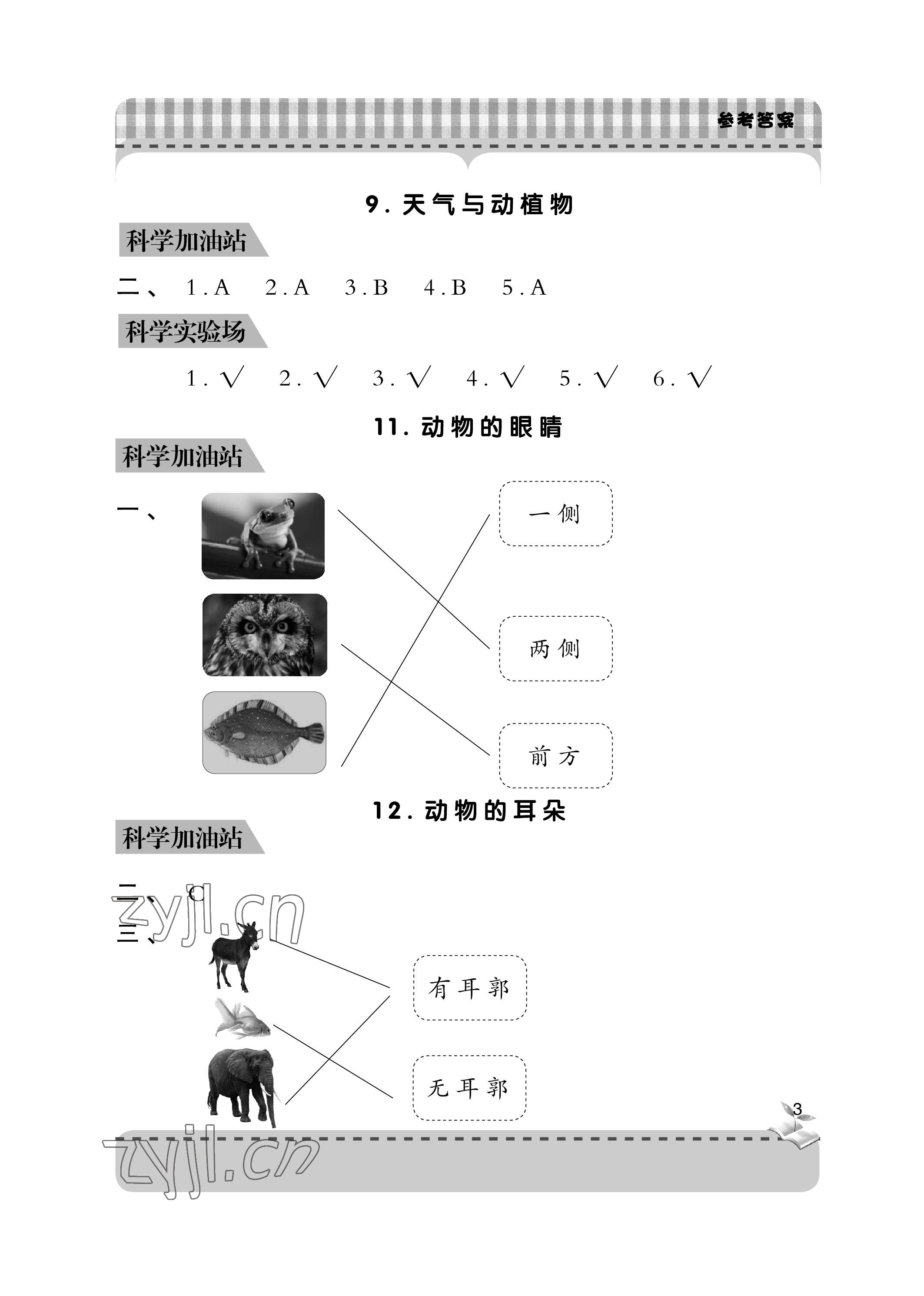 2023年新課堂學(xué)習(xí)與探究二年級(jí)科學(xué)下冊(cè)青島版 參考答案第3頁