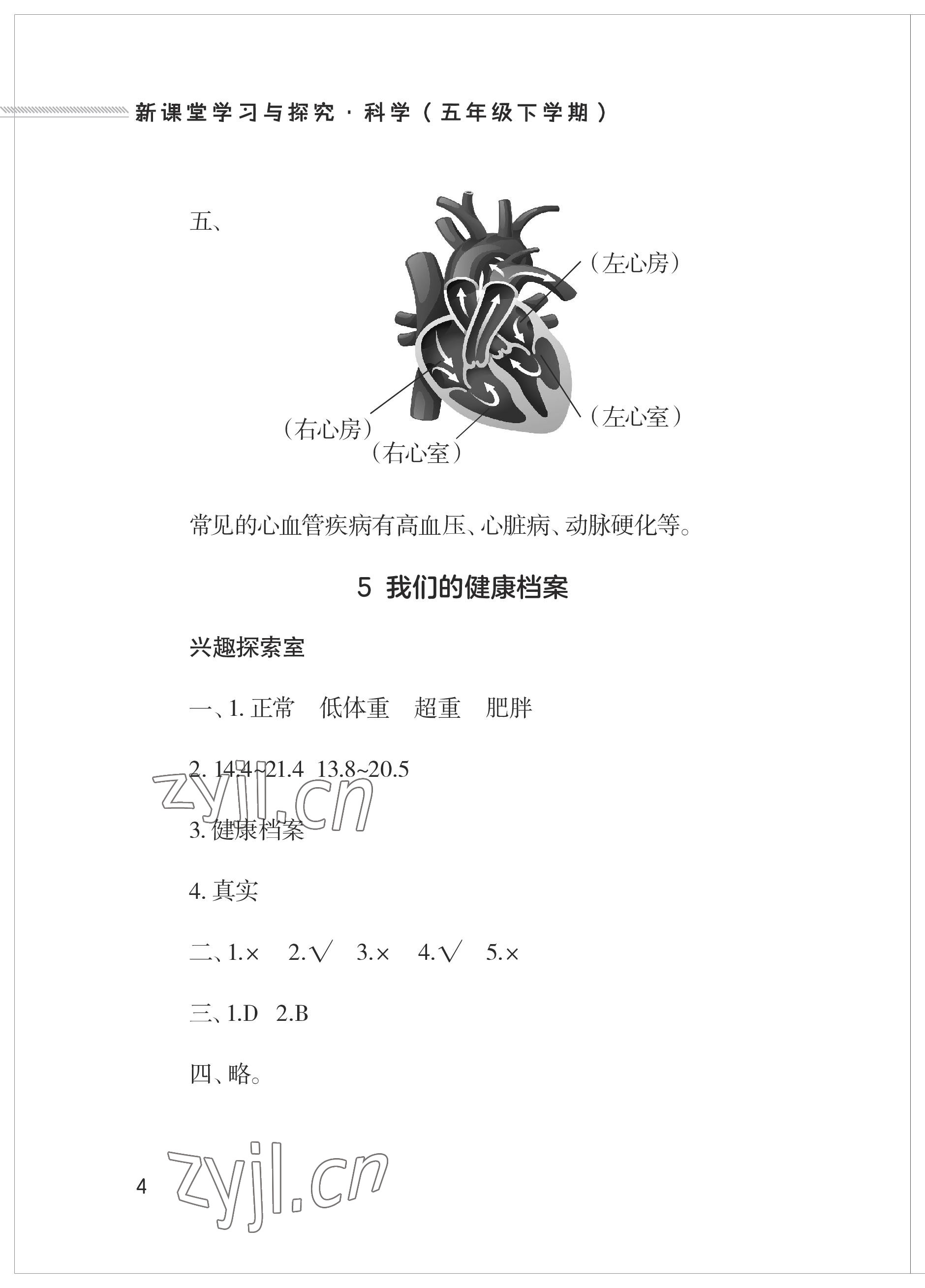 2023年新课堂学习与探究五年级科学下册青岛版 参考答案第4页