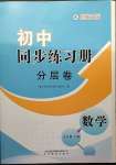 2023年同步練習(xí)冊(cè)分層卷七年級(jí)數(shù)學(xué)下冊(cè)北師大版