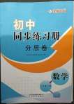 2023年同步練習(xí)冊(cè)分層卷八年級(jí)數(shù)學(xué)下冊(cè)北師大版