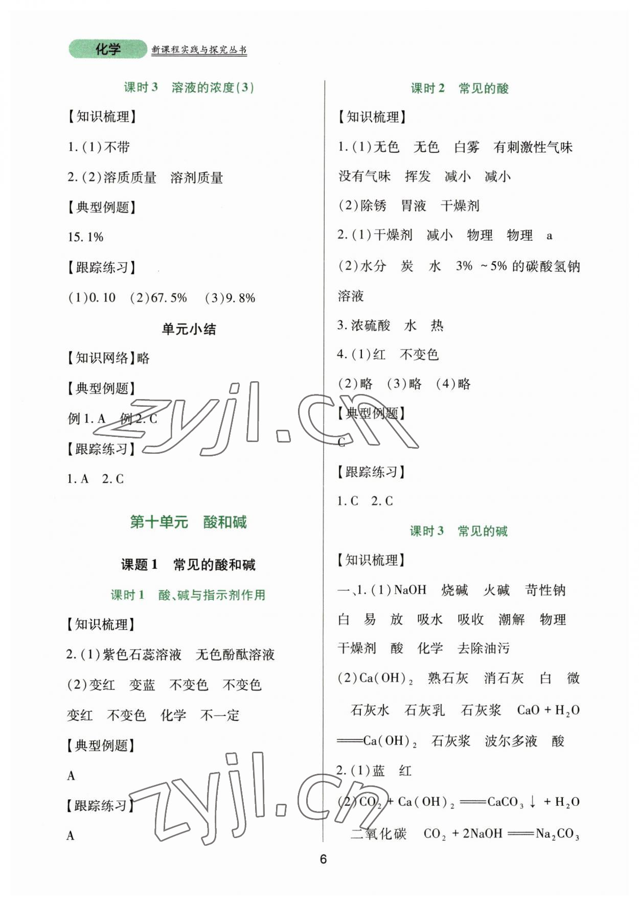 2023年新課程實踐與探究叢書九年級化學(xué)下冊人教版 第6頁