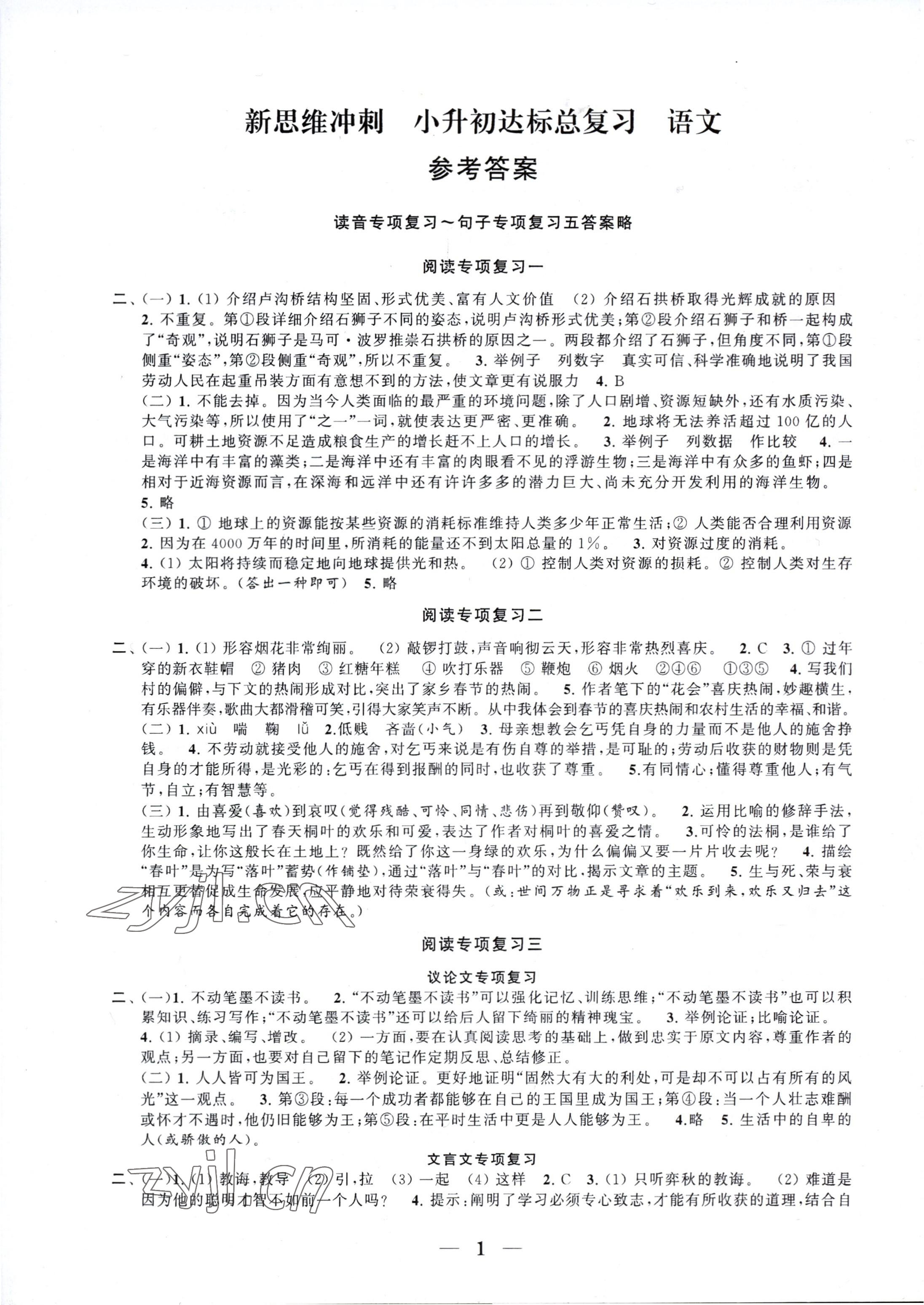 2023年新思维冲刺小升初达标总复习语文 参考答案第1页