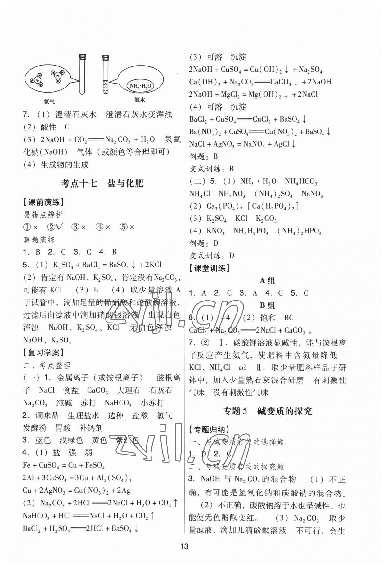 2023年經典中考化學 參考答案第13頁