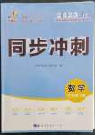 2023年同步?jīng)_刺七年級(jí)數(shù)學(xué)下冊(cè)人教版