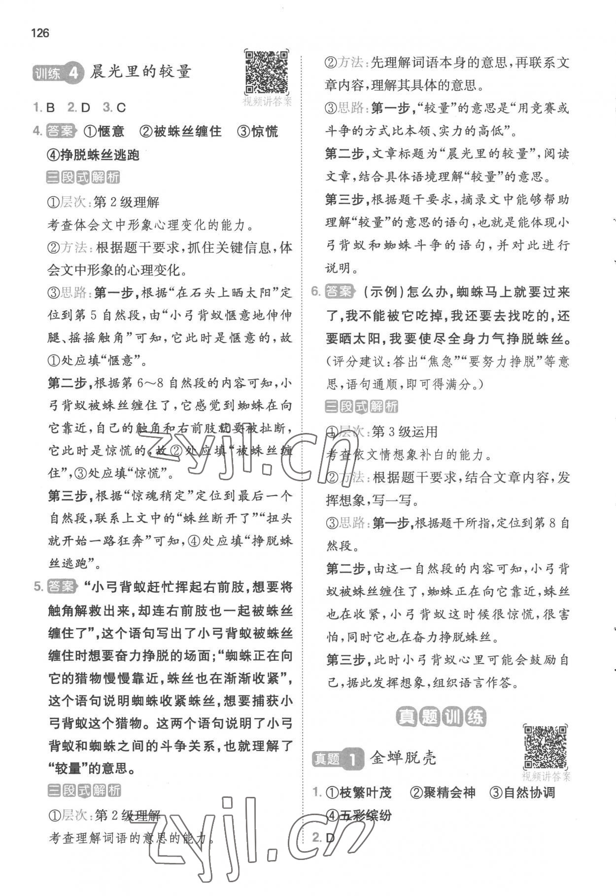 2023年一本閱讀能力訓(xùn)練100分三年級(jí)語(yǔ)文B版福建專版 參考答案第3頁(yè)