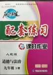 2023年名師點(diǎn)撥配套練習(xí)課時(shí)作業(yè)九年級(jí)道德與法治下冊(cè)人教版