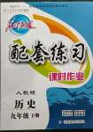 2023年名師點撥配套練習課時作業(yè)九年級歷史下冊人教版