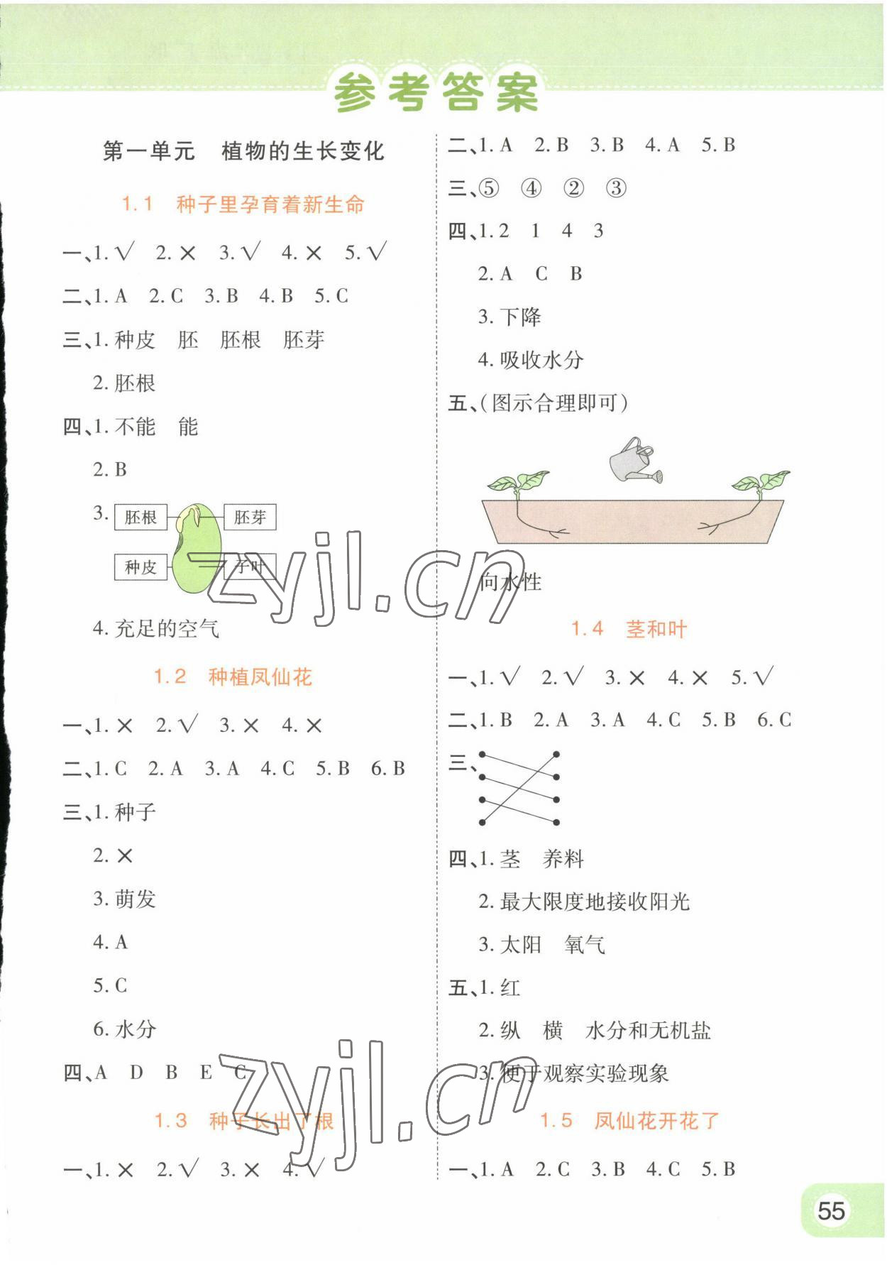 2023年黃岡同步練一日一練四年級(jí)科學(xué)下冊(cè)教科版 參考答案第1頁(yè)