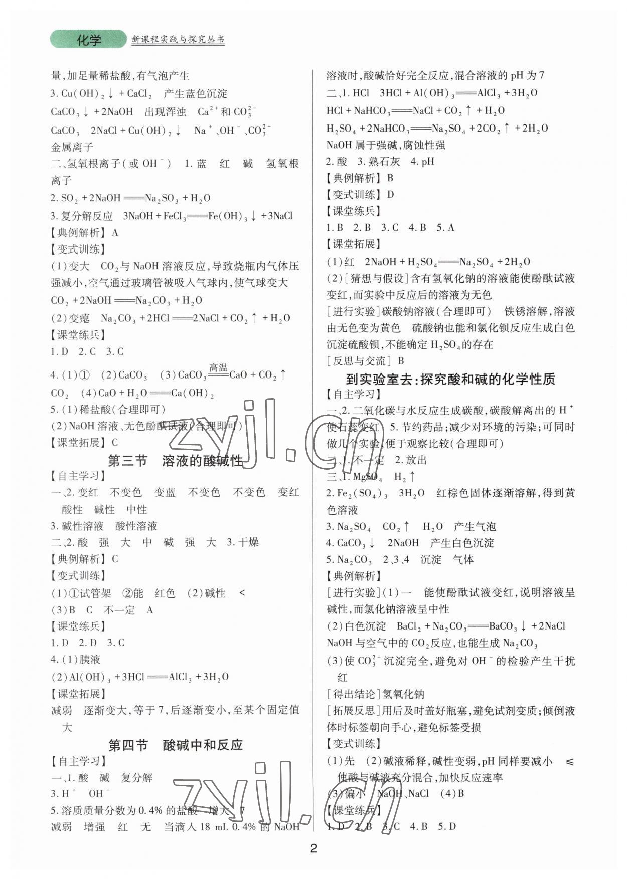 2023年新课程实践与探究丛书九年级化学下册鲁教版 第2页