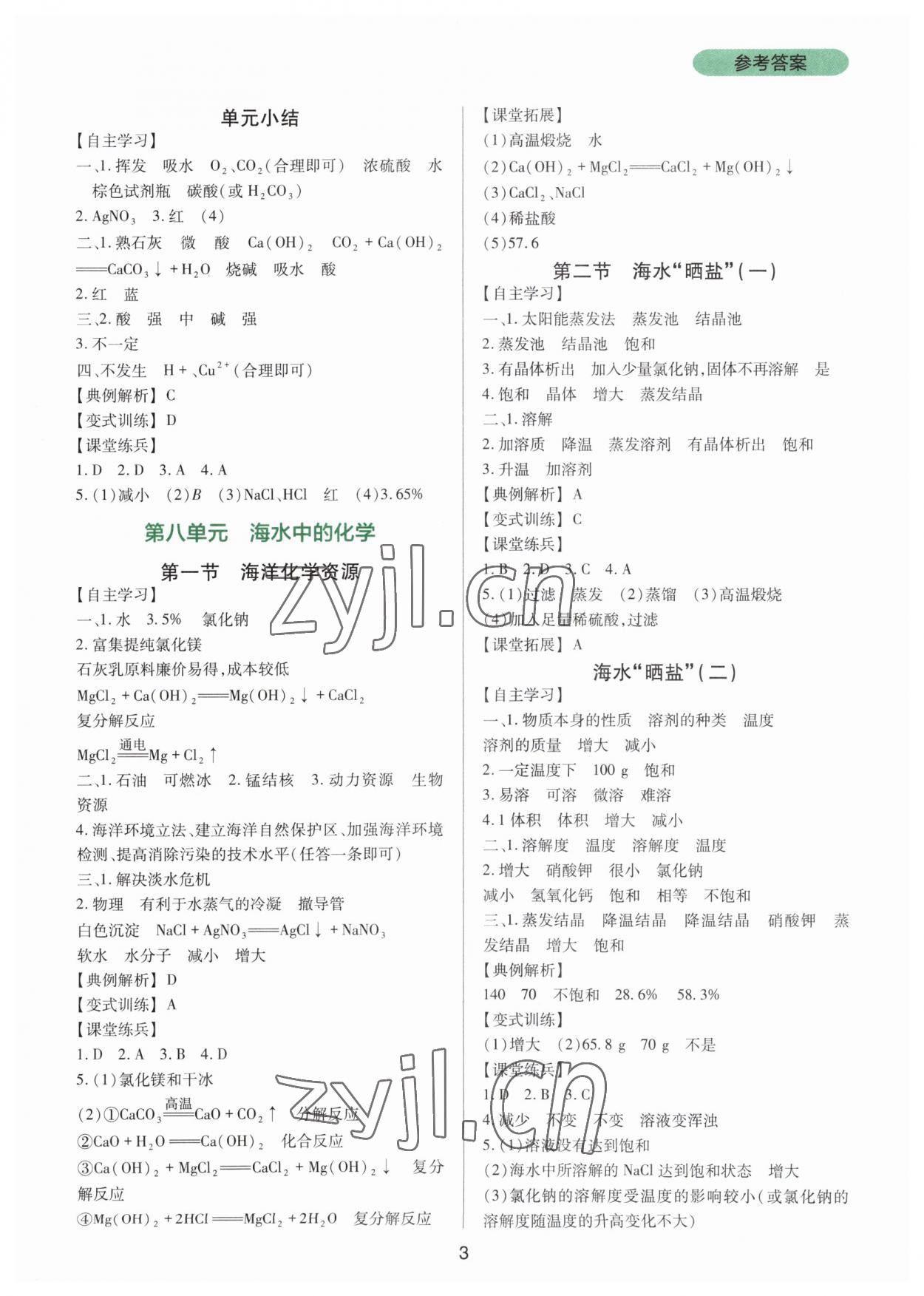 2023年新课程实践与探究丛书九年级化学下册鲁教版 第3页