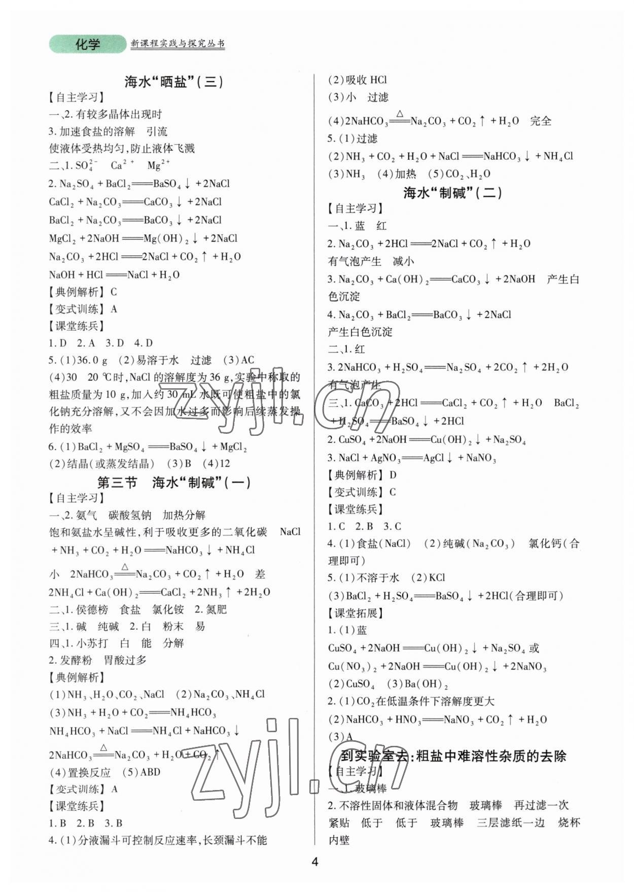 2023年新课程实践与探究丛书九年级化学下册鲁教版 第4页