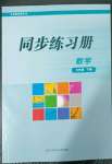 2023年同步練習(xí)冊(cè)華東師范大學(xué)出版社七年級(jí)數(shù)學(xué)下冊(cè)華師大版