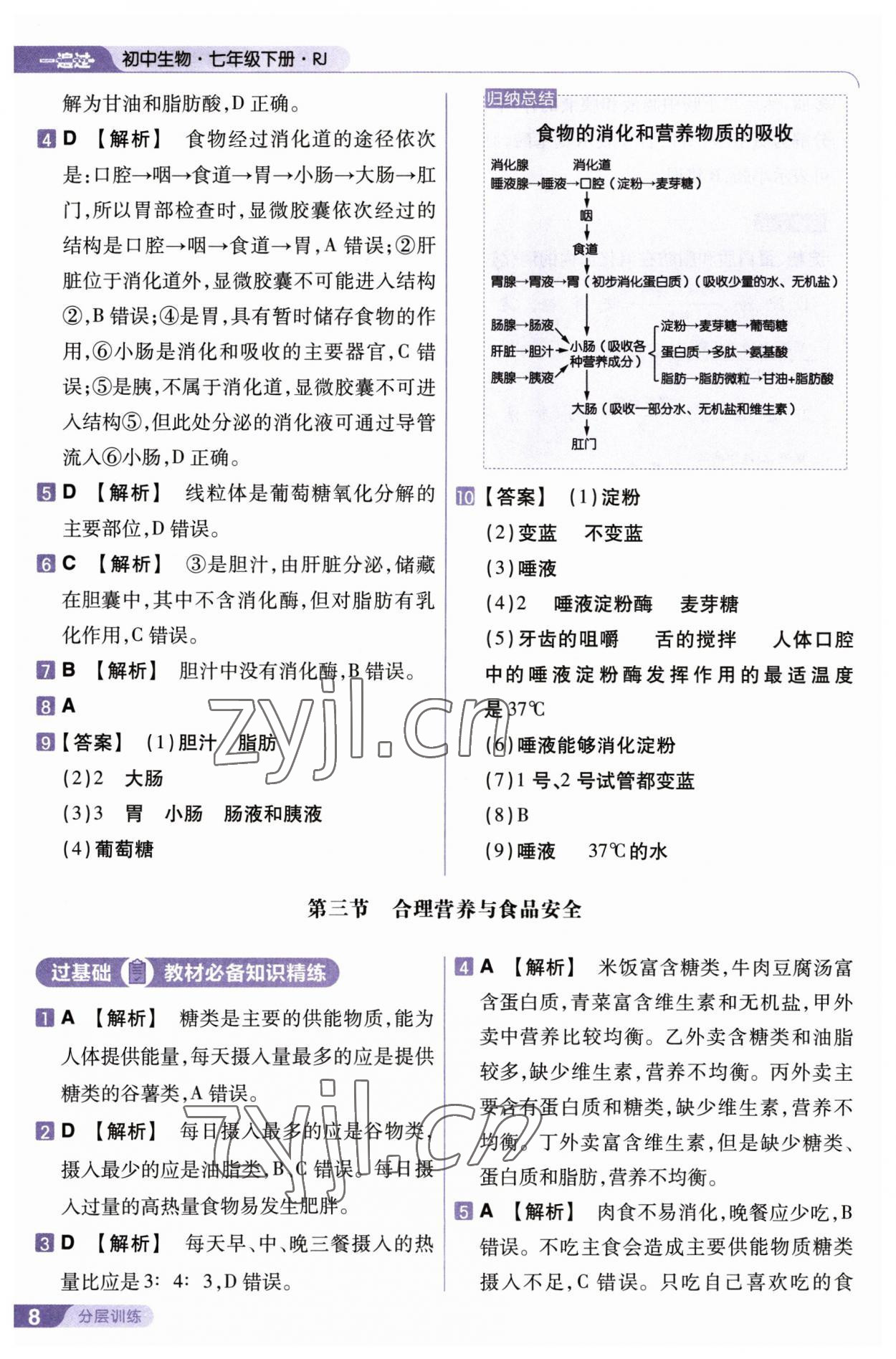 2023年一遍過七年級生物下冊人教版 第8頁