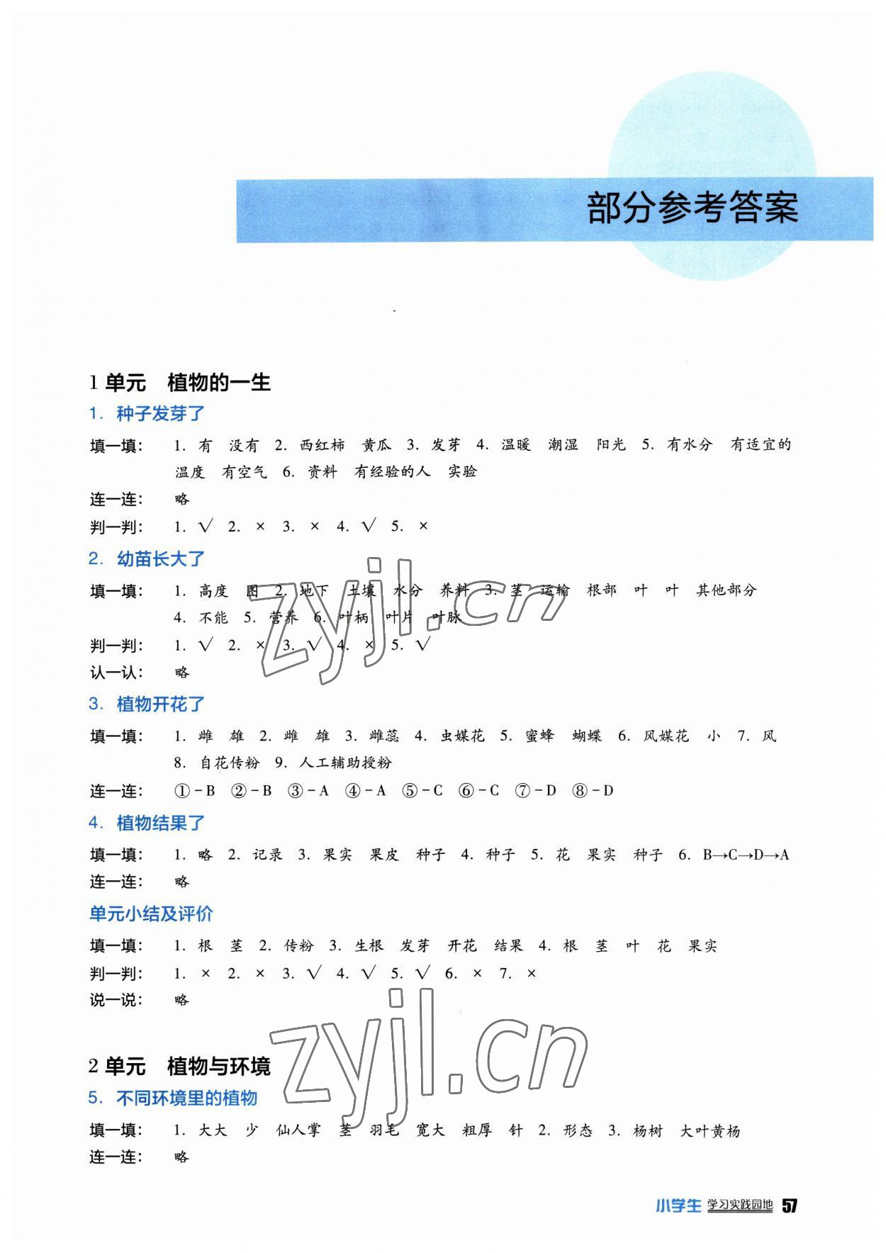 2023年小學生學習實踐園地三年級科學下冊蘇教版 第1頁