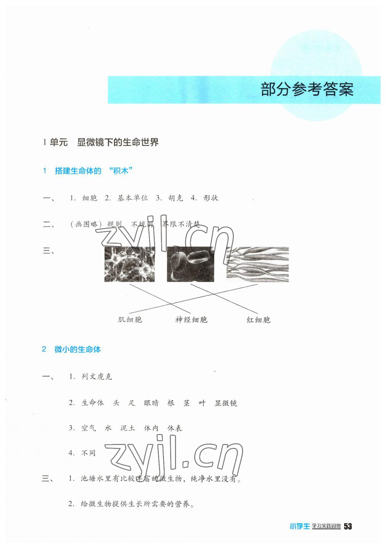 2023年小学生学习实践园地五年级科学下册苏教版 第1页