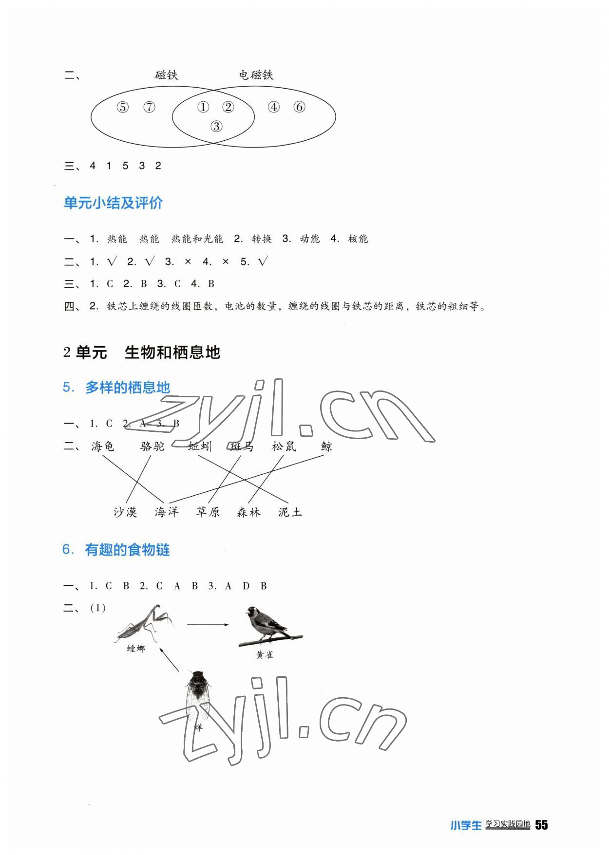 2023年小學(xué)生學(xué)習(xí)實(shí)踐園地六年級(jí)科學(xué)下冊(cè)蘇教版 參考答案第2頁(yè)